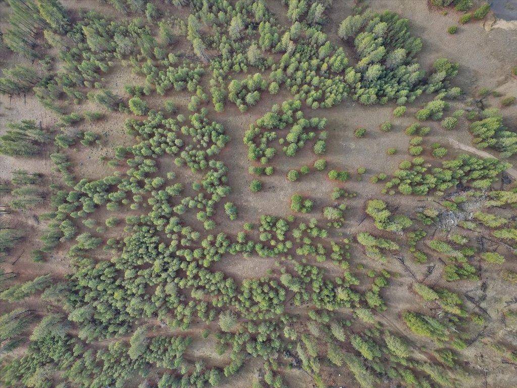 NKA Lower Weaver WAY #Lot 13, Deer Park, WA 99006