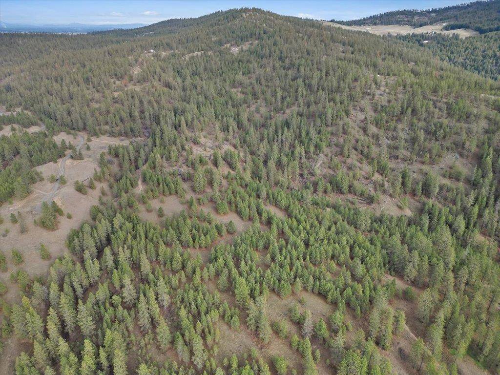 NKA Lower Weaver WAY #Lot 13, Deer Park, WA 99006