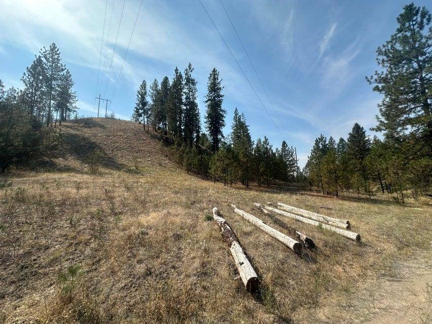 5699 C Hwy 231 Hwy, Ford, WA 99013