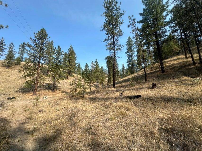 5699 C Hwy 231 Hwy, Ford, WA 99013