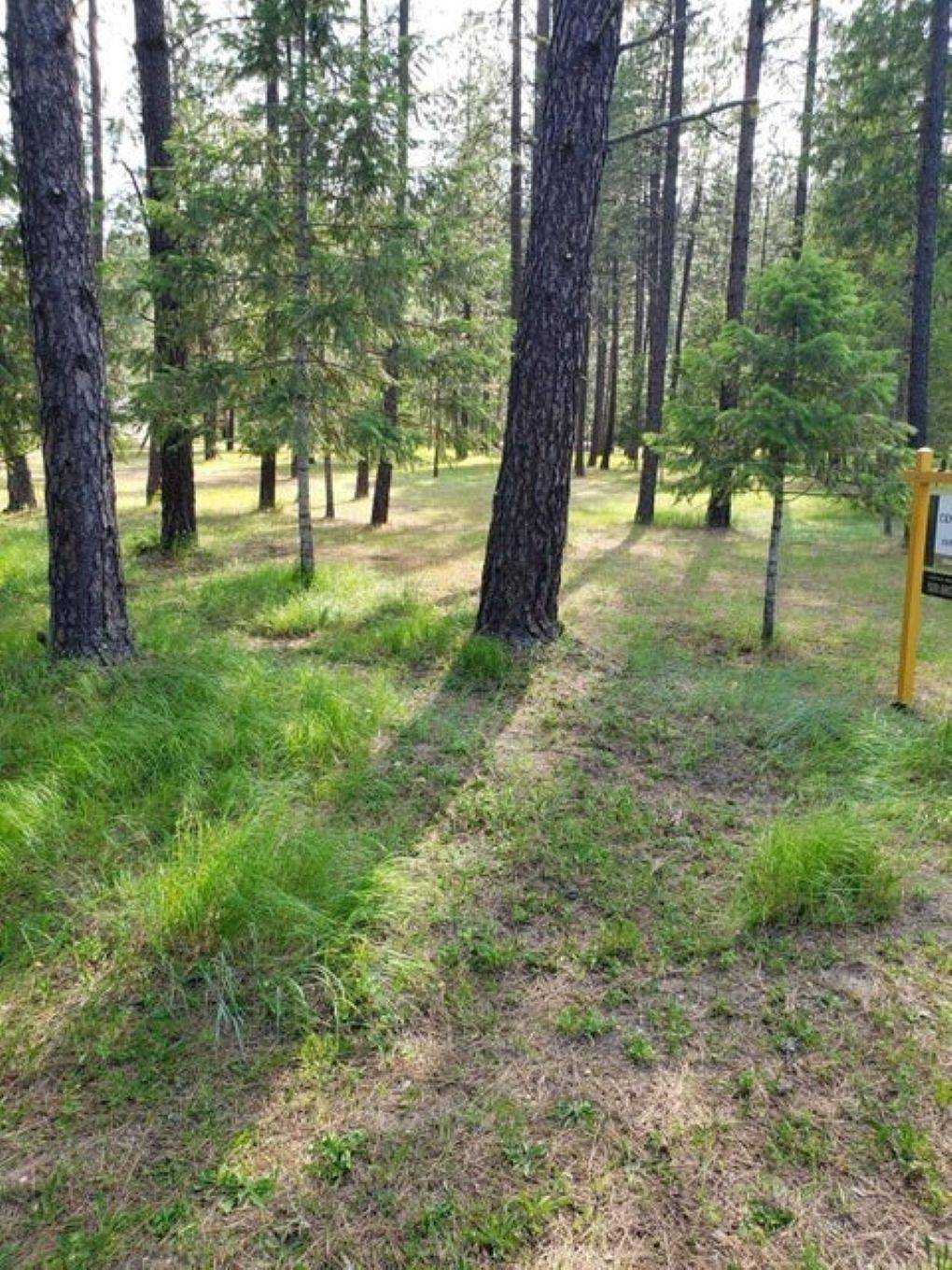 256 Eagle Dr, Chewelah, WA 99109