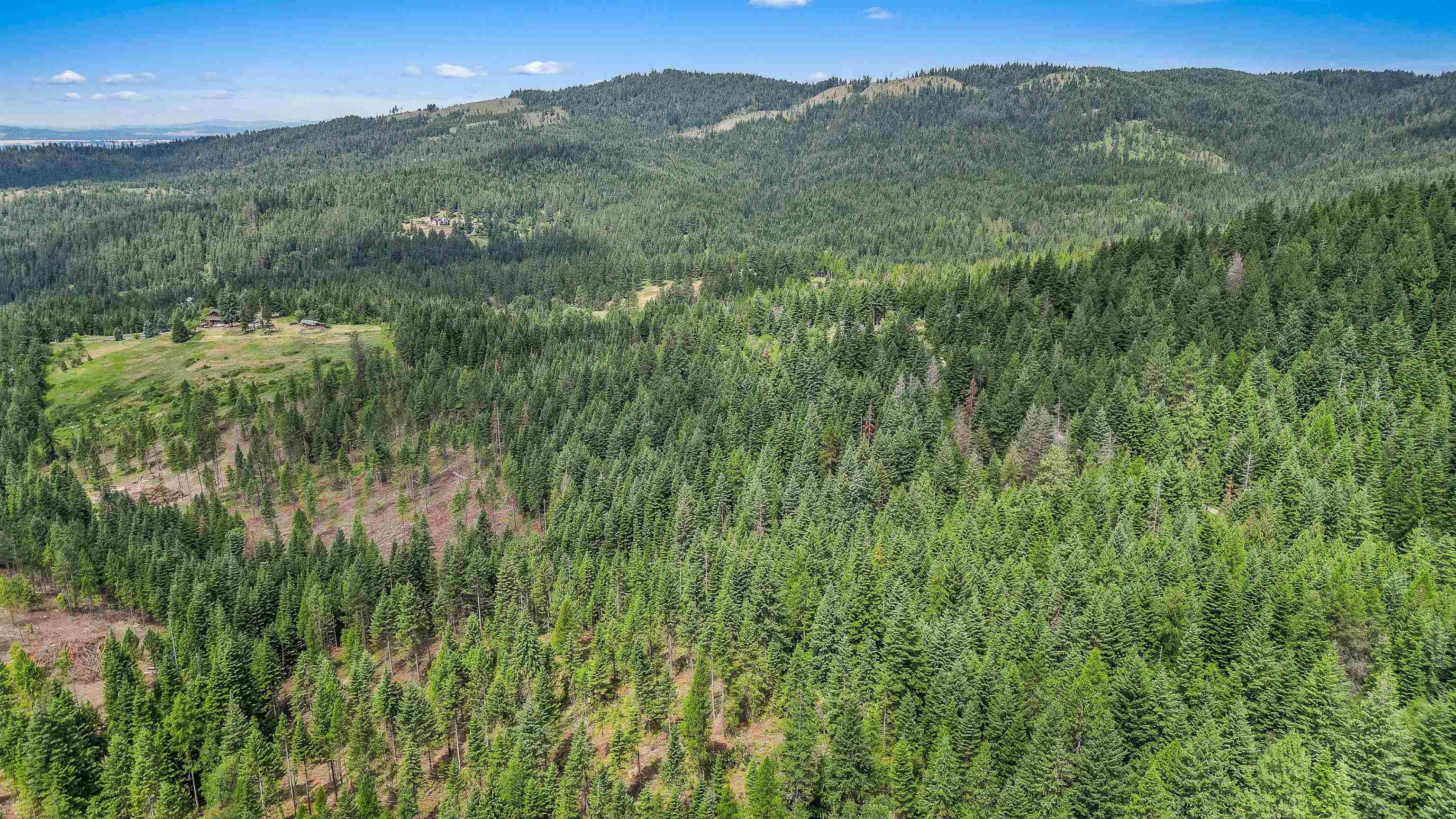 XXX N Deer Ln, Mead, WA 99021