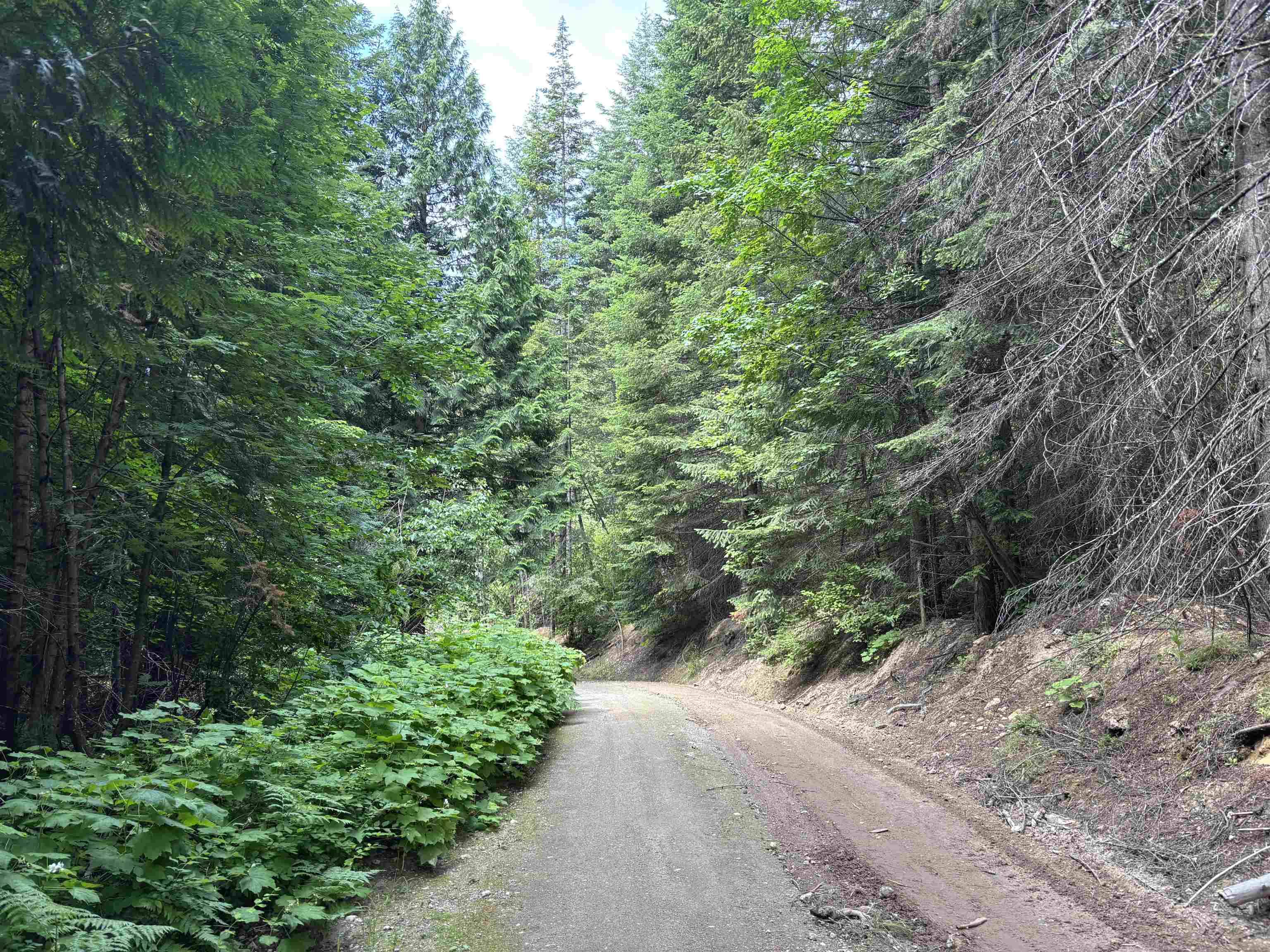 XXX N Deer Ln, Mead, WA 99021