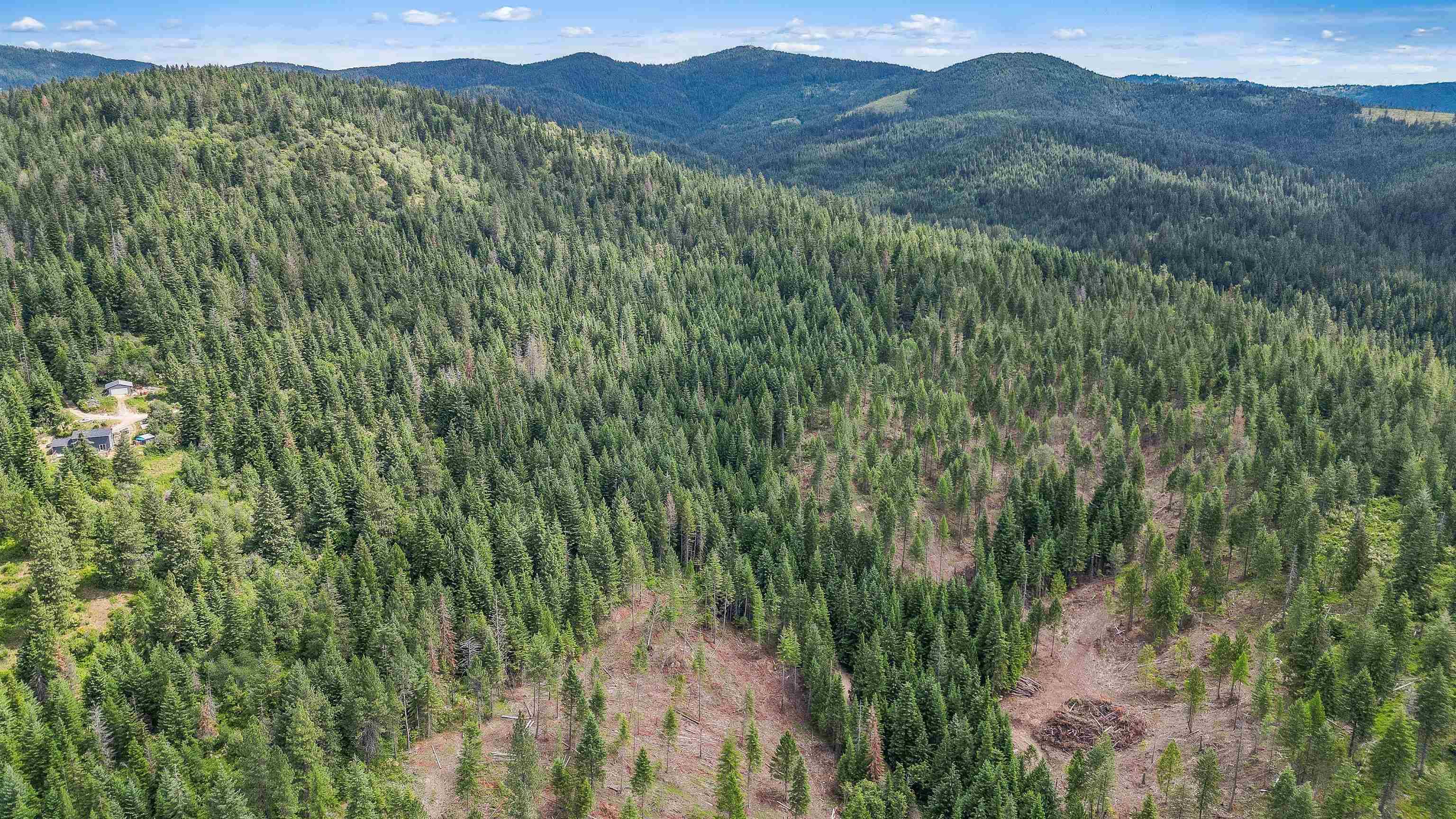 XXX N Deer Ln, Mead, WA 99021