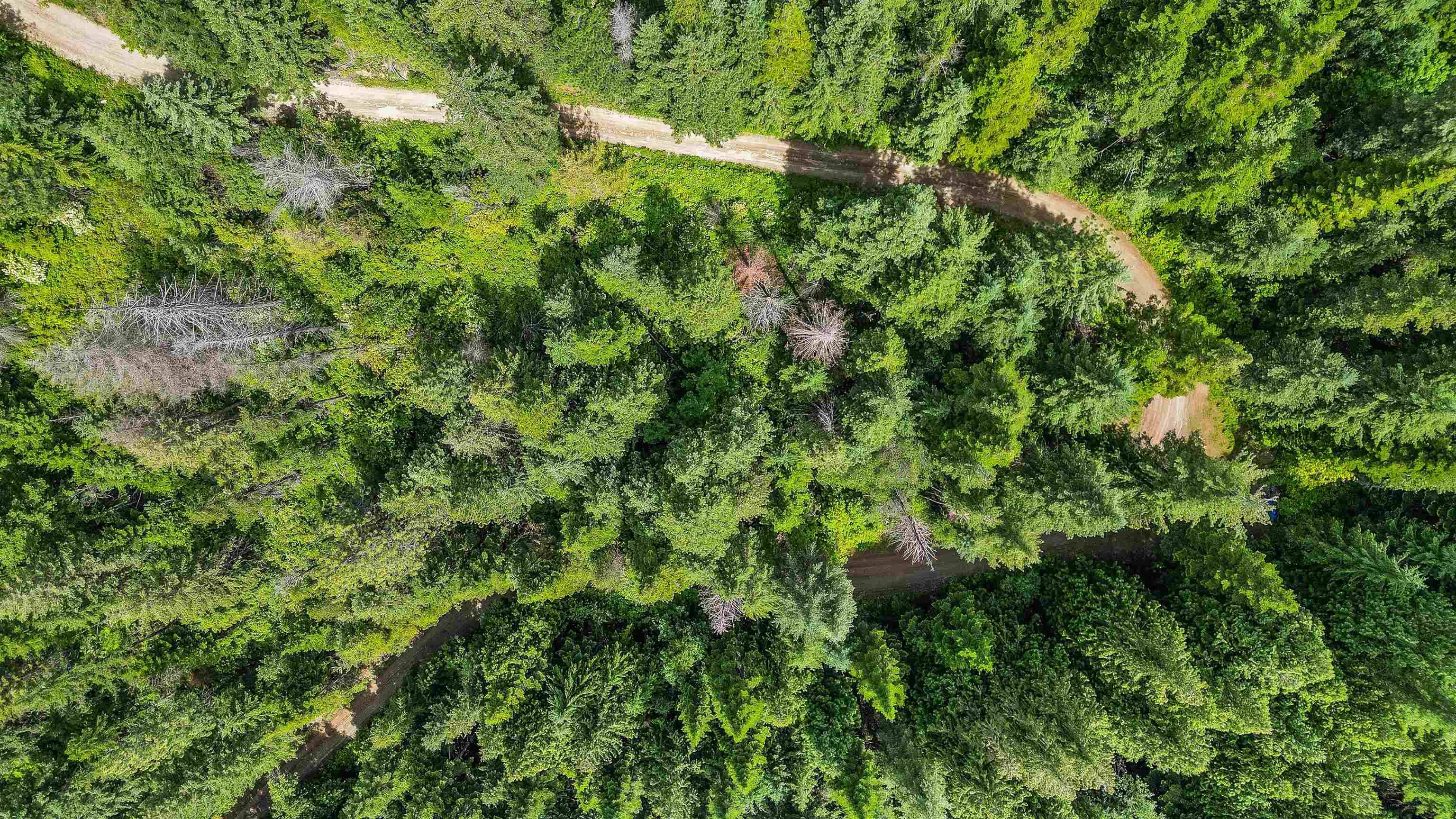 XXX N Deer Ln, Mead, WA 99021