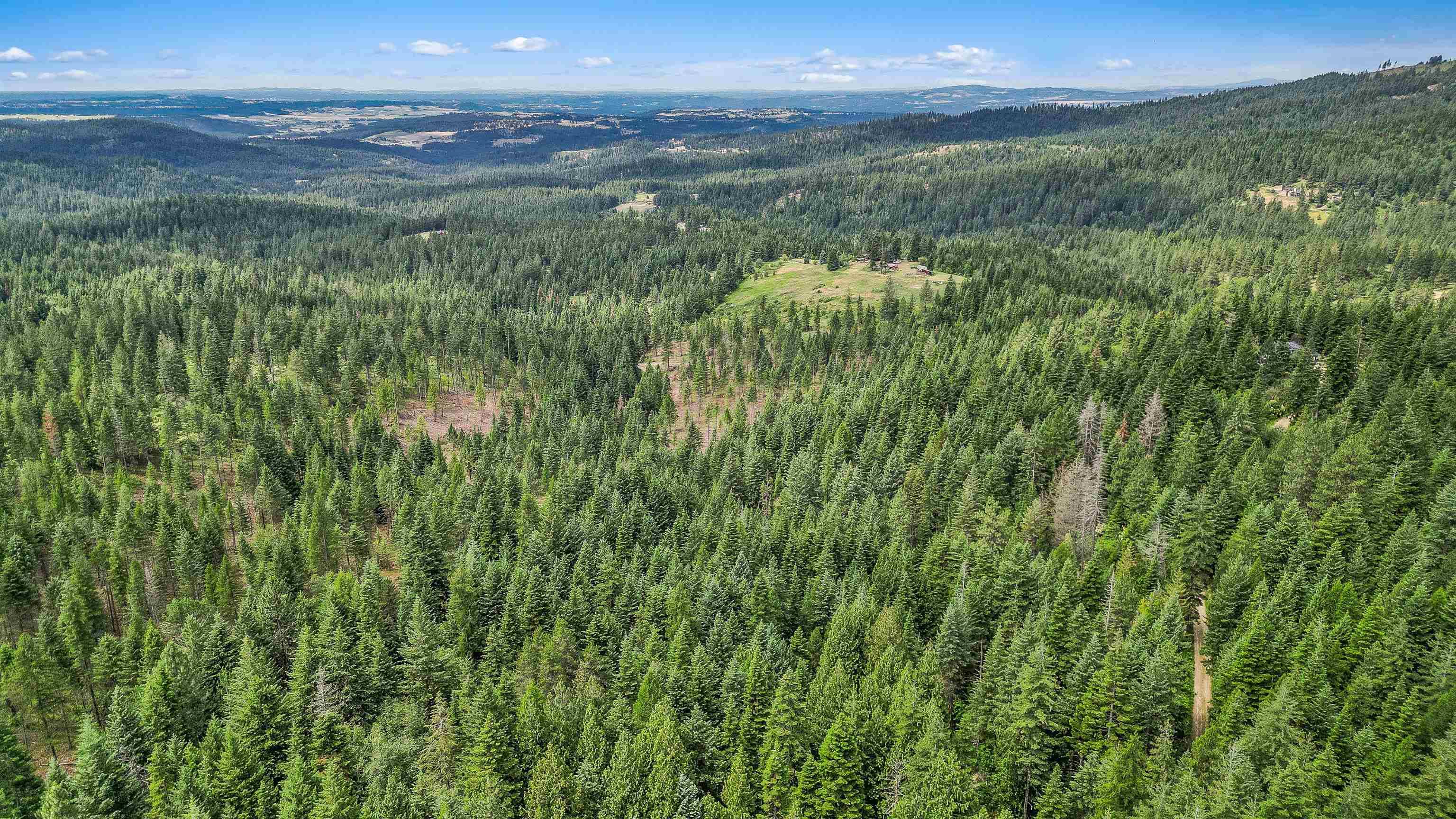 XXX N Deer Ln, Mead, WA 99021