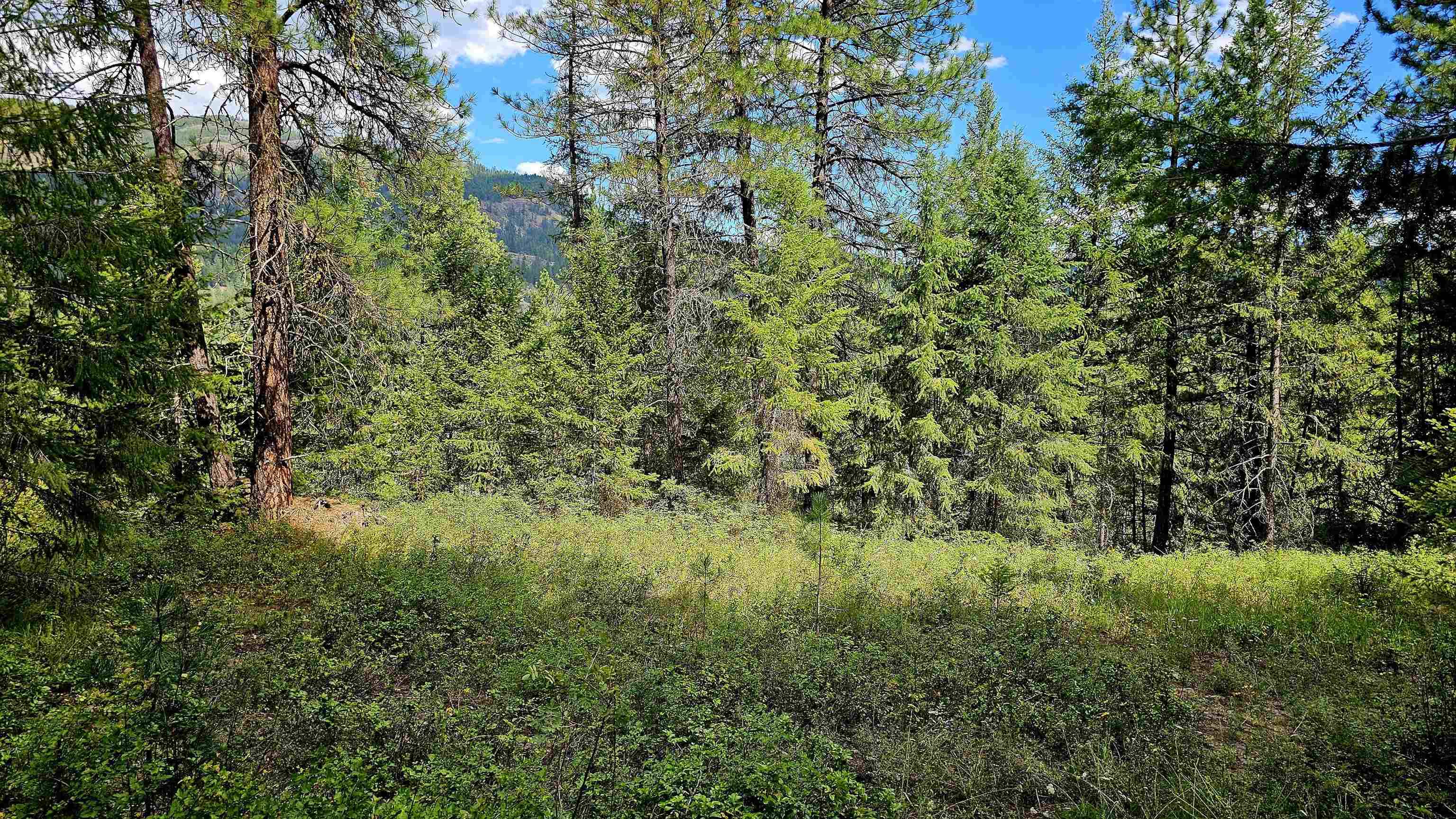 10 Humes Rd, Kettle Falls, WA 99141
