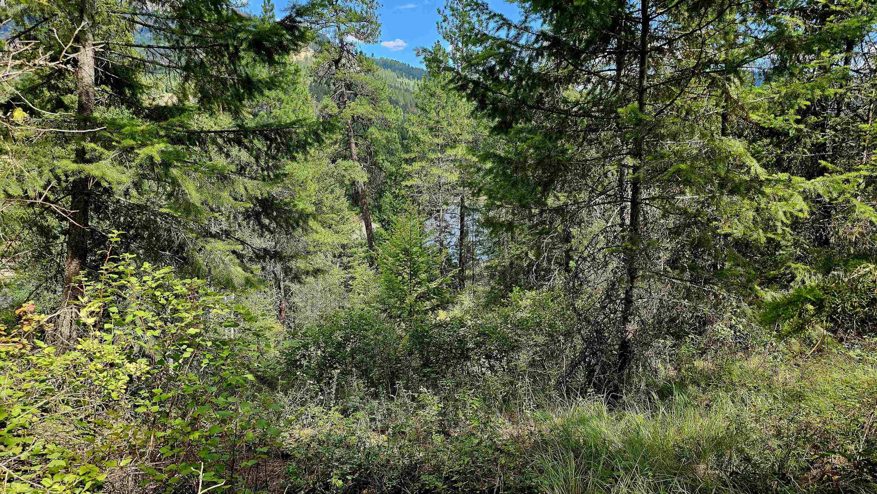 10 Humes Rd, Kettle Falls, WA 99141