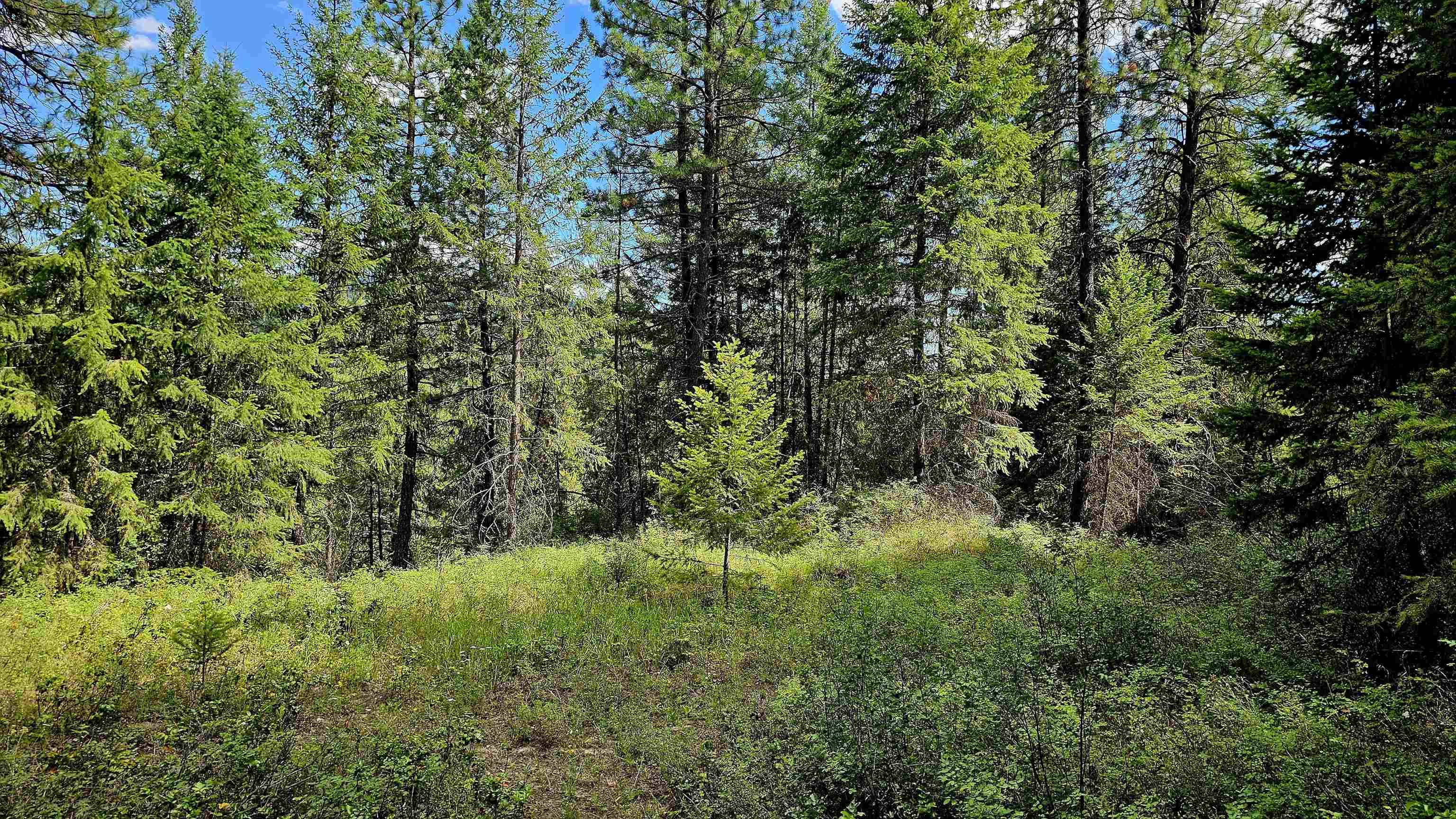 10 Humes Rd, Kettle Falls, WA 99141