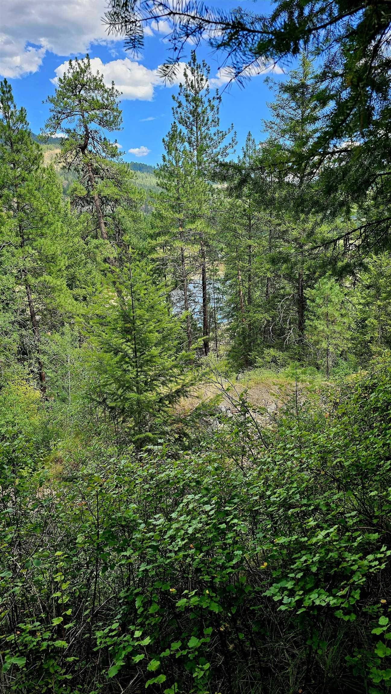 10 Humes Rd, Kettle Falls, WA 99141