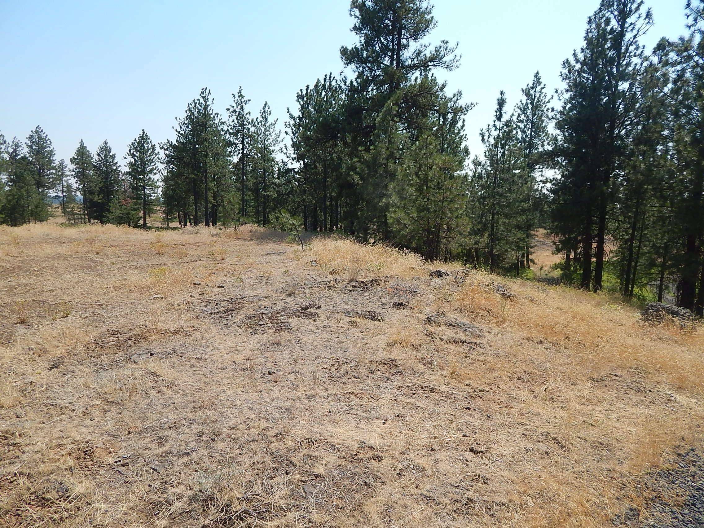 249014 W Kitt Rd, Reardan, WA 99029