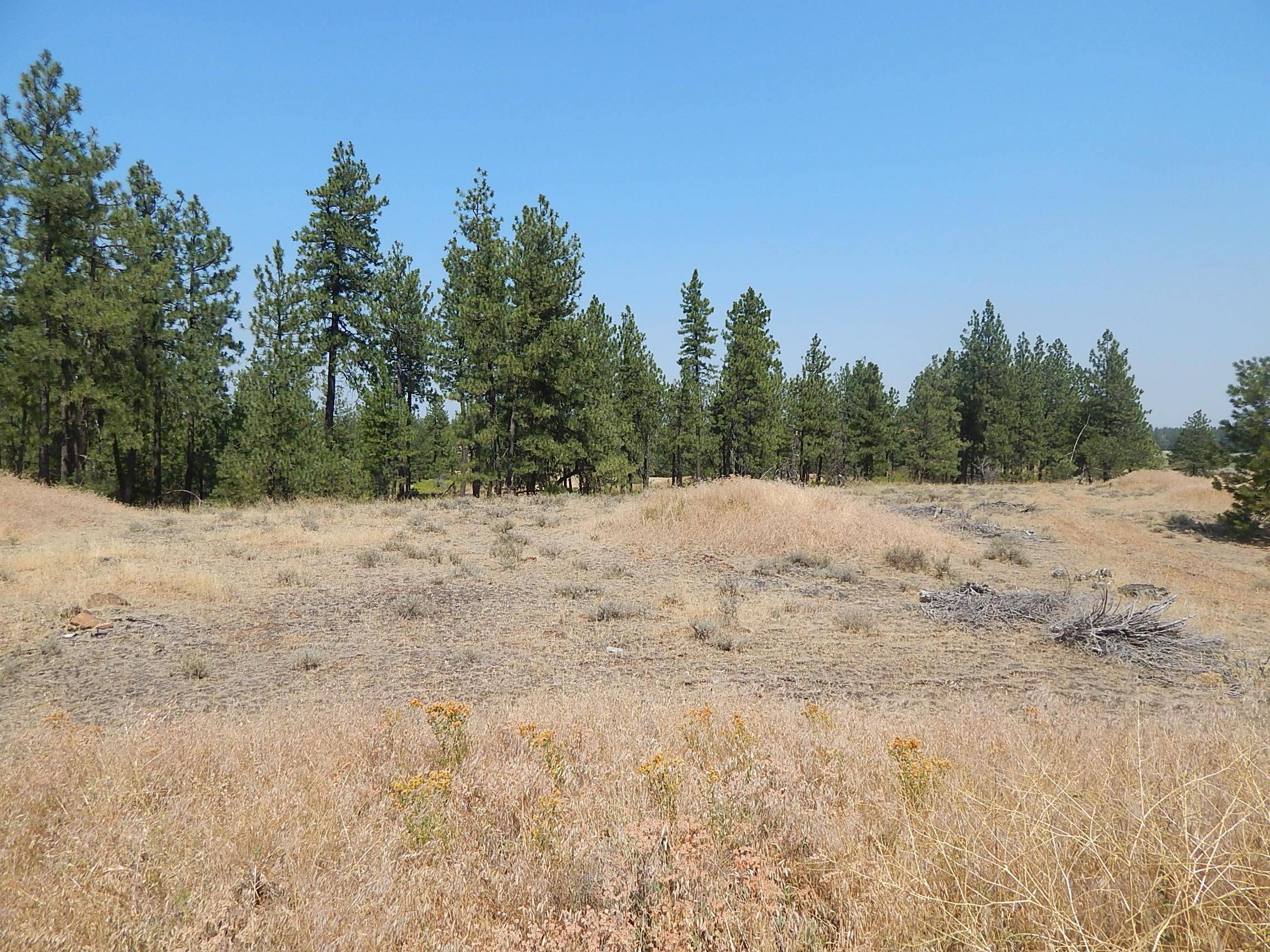 249014 W Kitt Rd, Reardan, WA 99029