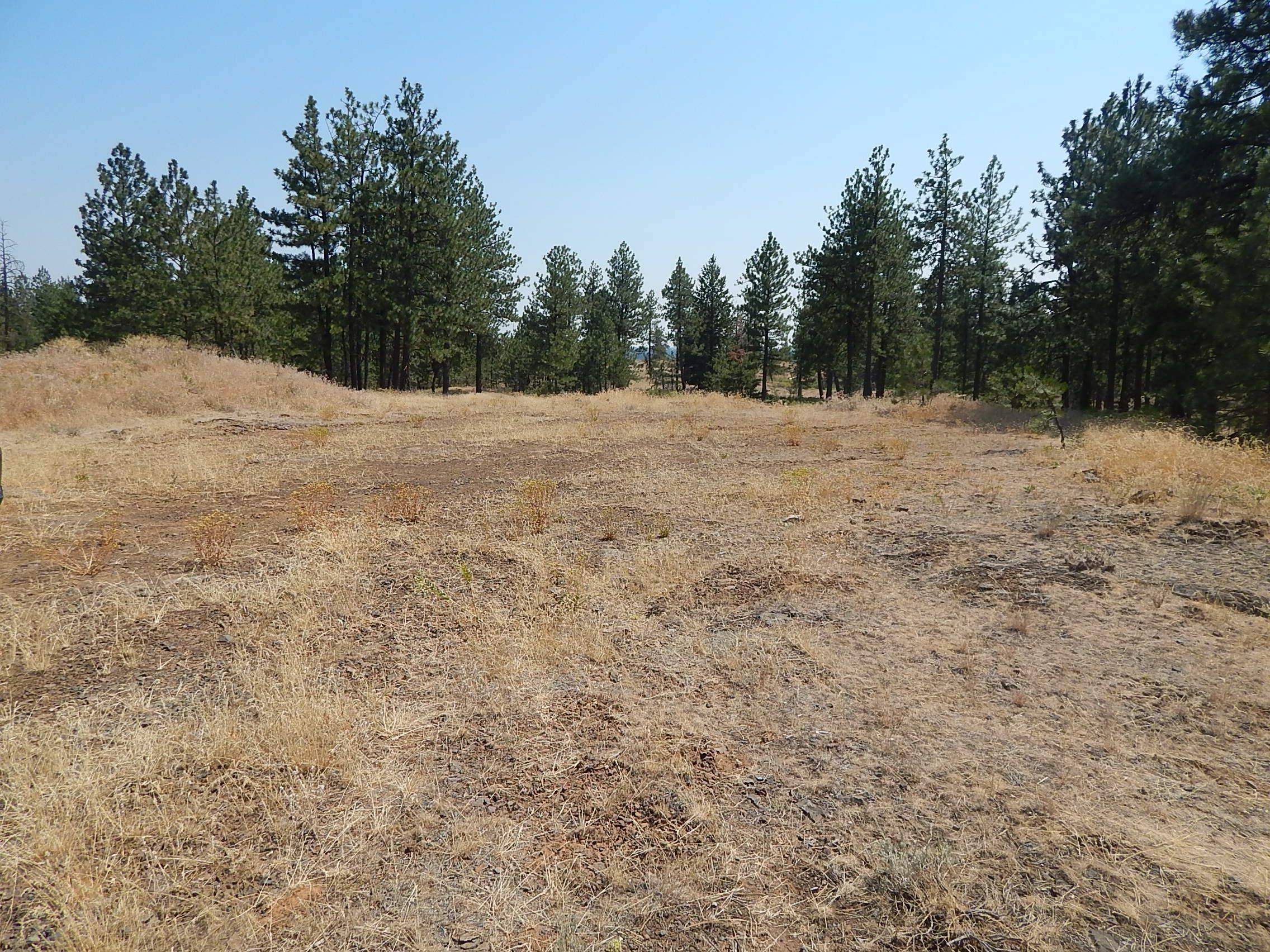 249014 W Kitt Rd, Reardan, WA 99029