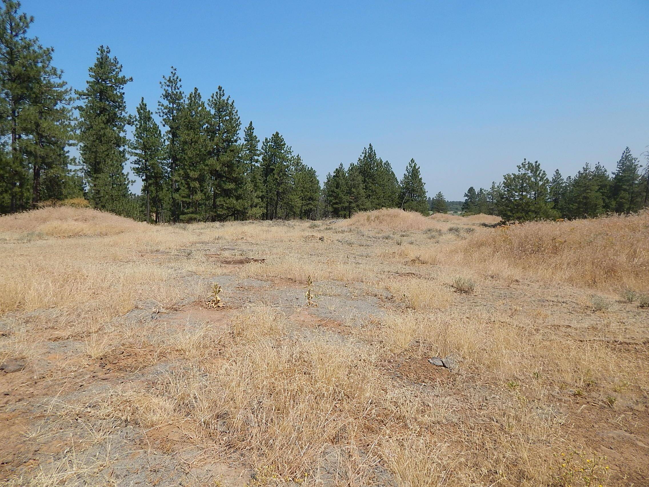 249014 W Kitt Rd, Reardan, WA 99029
