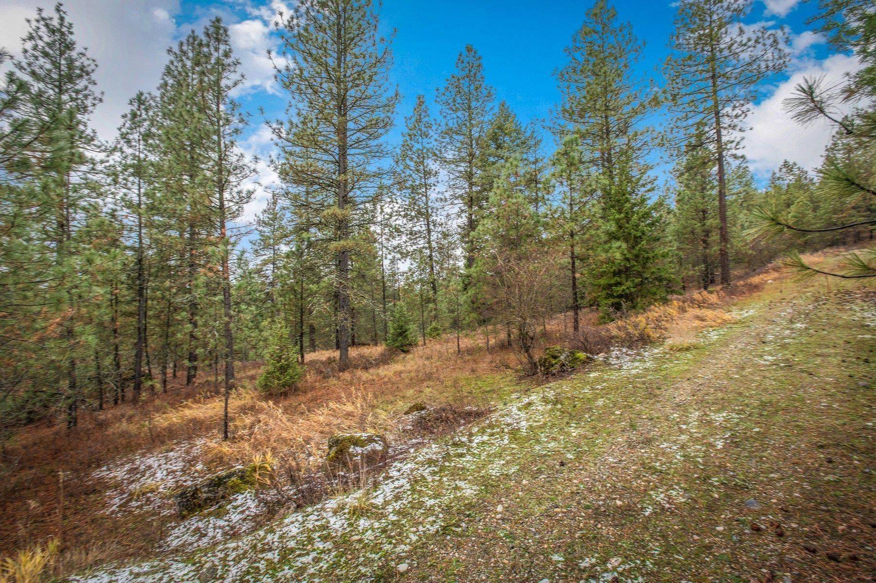 4425 Stonebrook WAY, Springdale, WA 99173