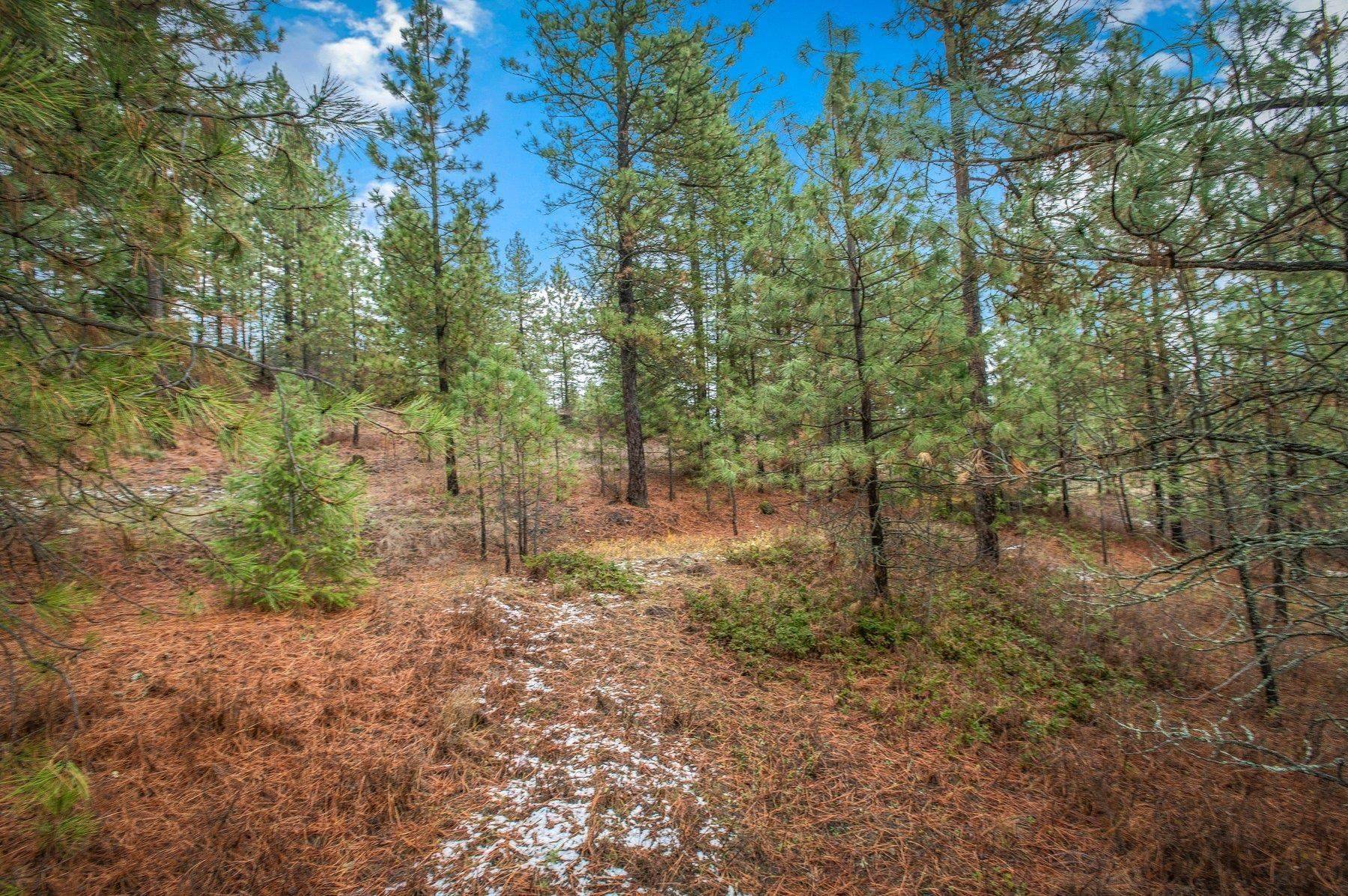 4425 Stonebrook WAY, Springdale, WA 99173
