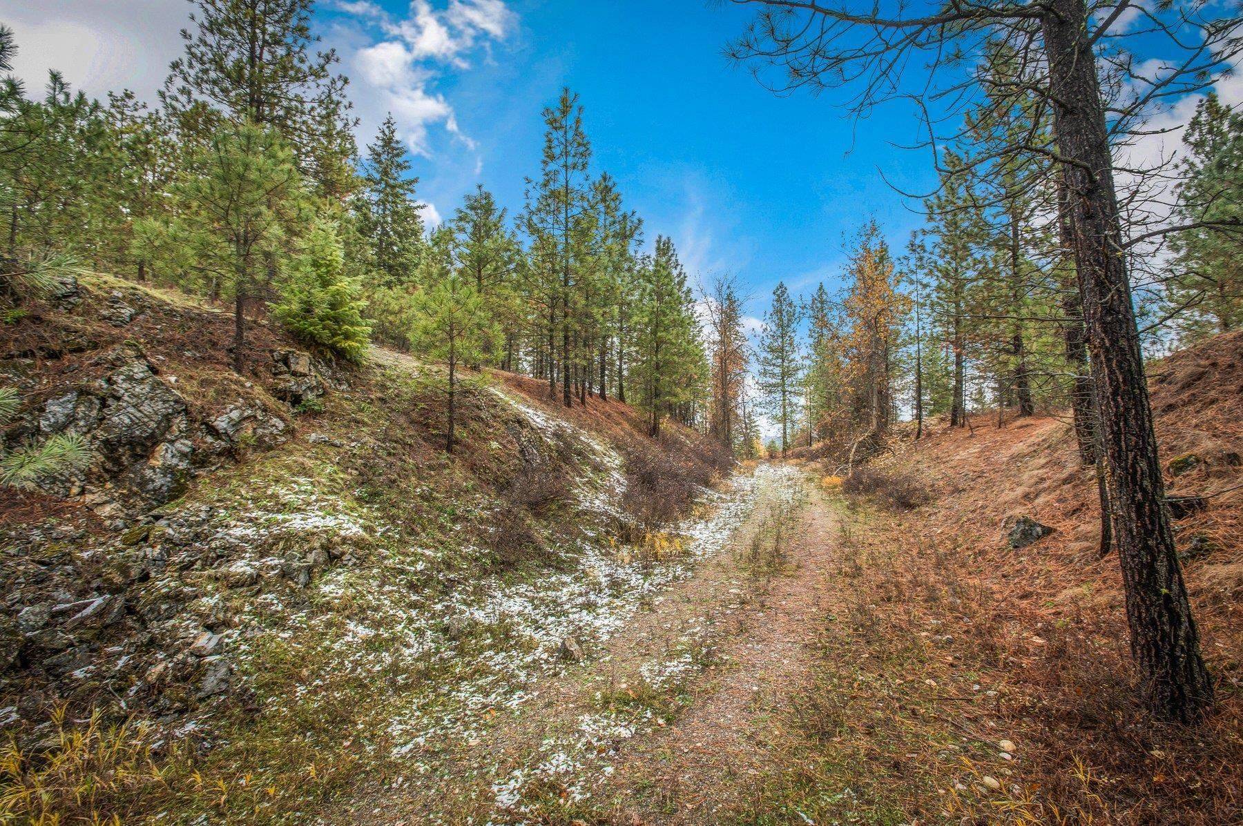 4425 Stonebrook WAY, Springdale, WA 99173