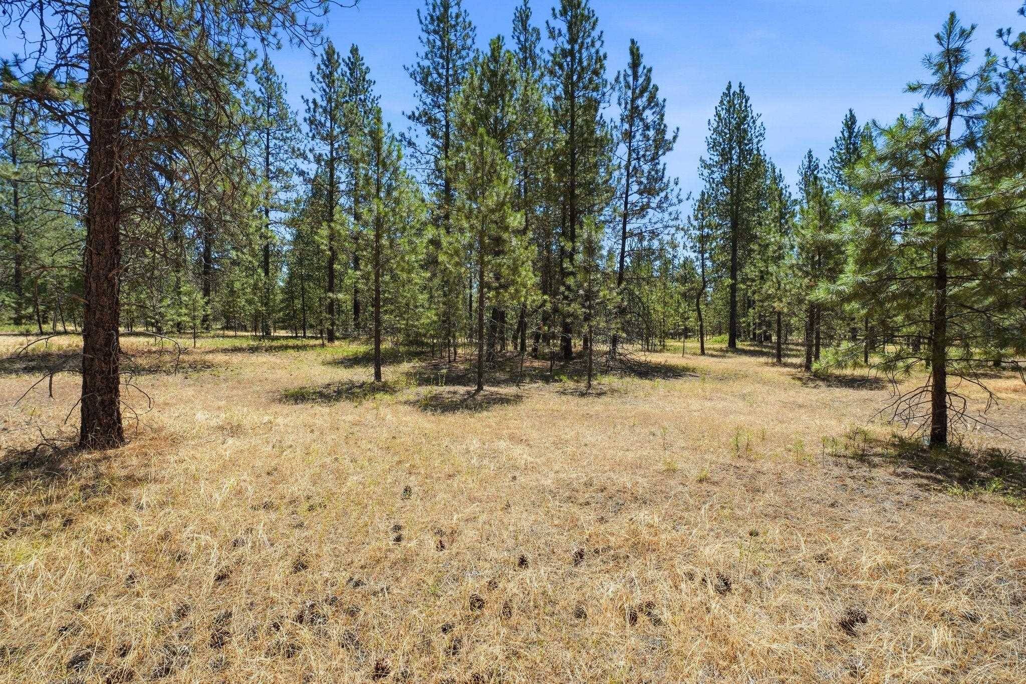 0 E Owens Rd, Chattaroy, WA 99003
