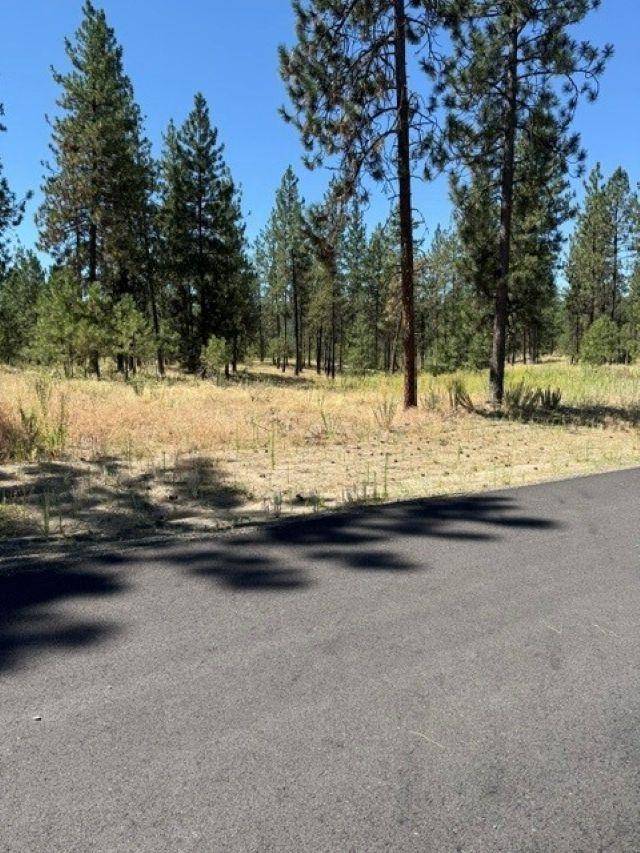 Lot 11 Long Lake Estates Est, Nine Mile Falls, WA 99026