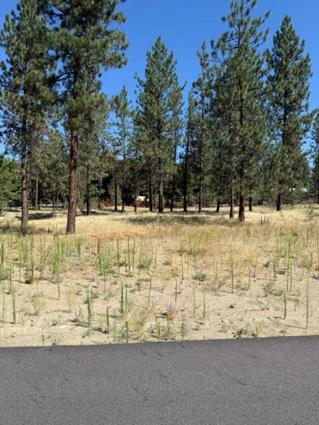 Lot 14 Long Lake Estates Est, Nine Mile Falls, WA 99026