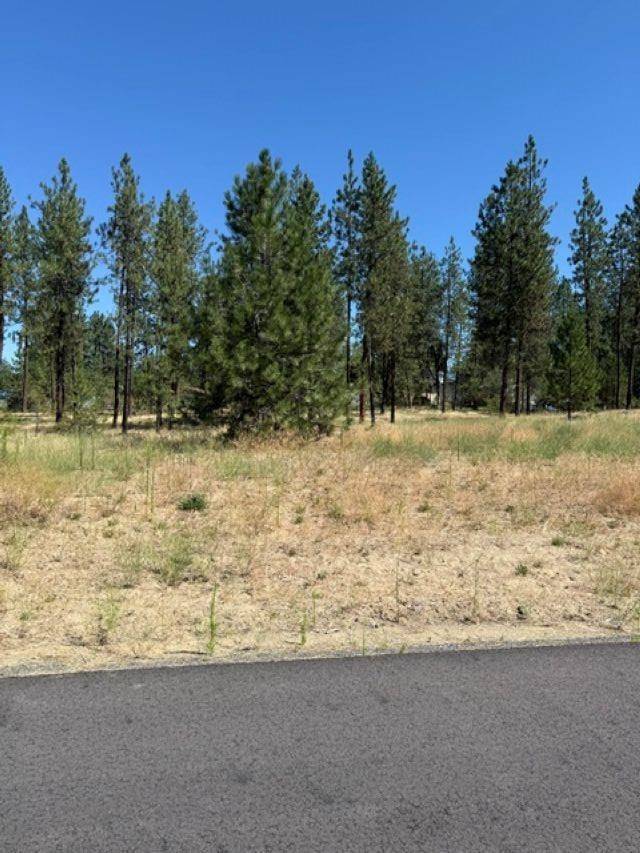Lot 15 Long Lake Estates Est, Nine Mile Falls, WA 99026