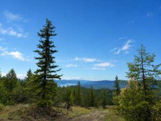 4XX #L Morning Star Ln, Inchelium, WA 99138