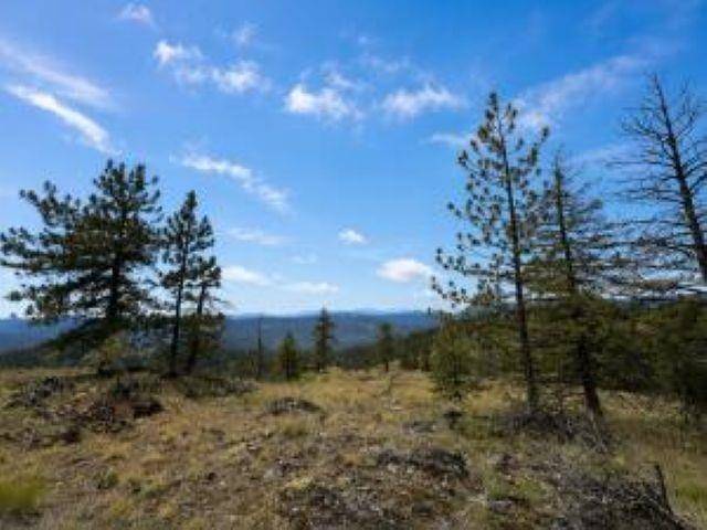 4XX #L Morning Star Ln, Inchelium, WA 99138