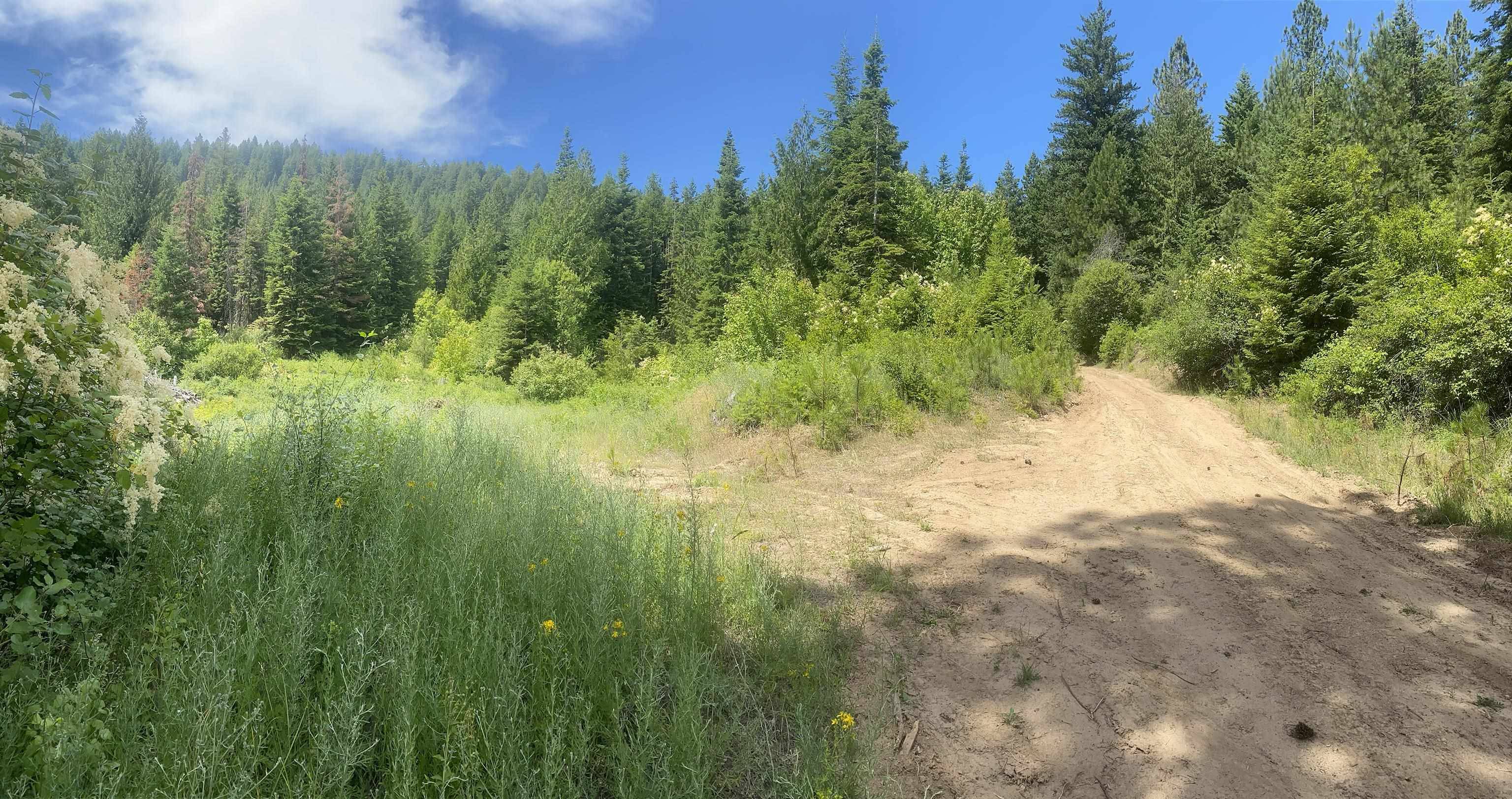 NNA E Deer Lake Rd, Loon Lake, WA 99148