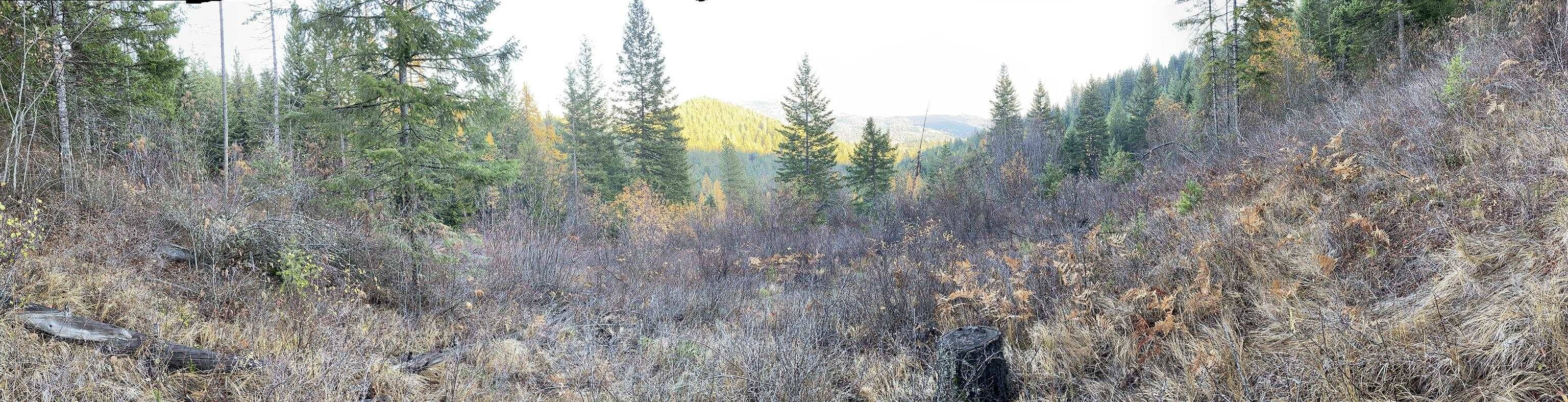 NNA E Deer Lake Rd, Loon Lake, WA 99148