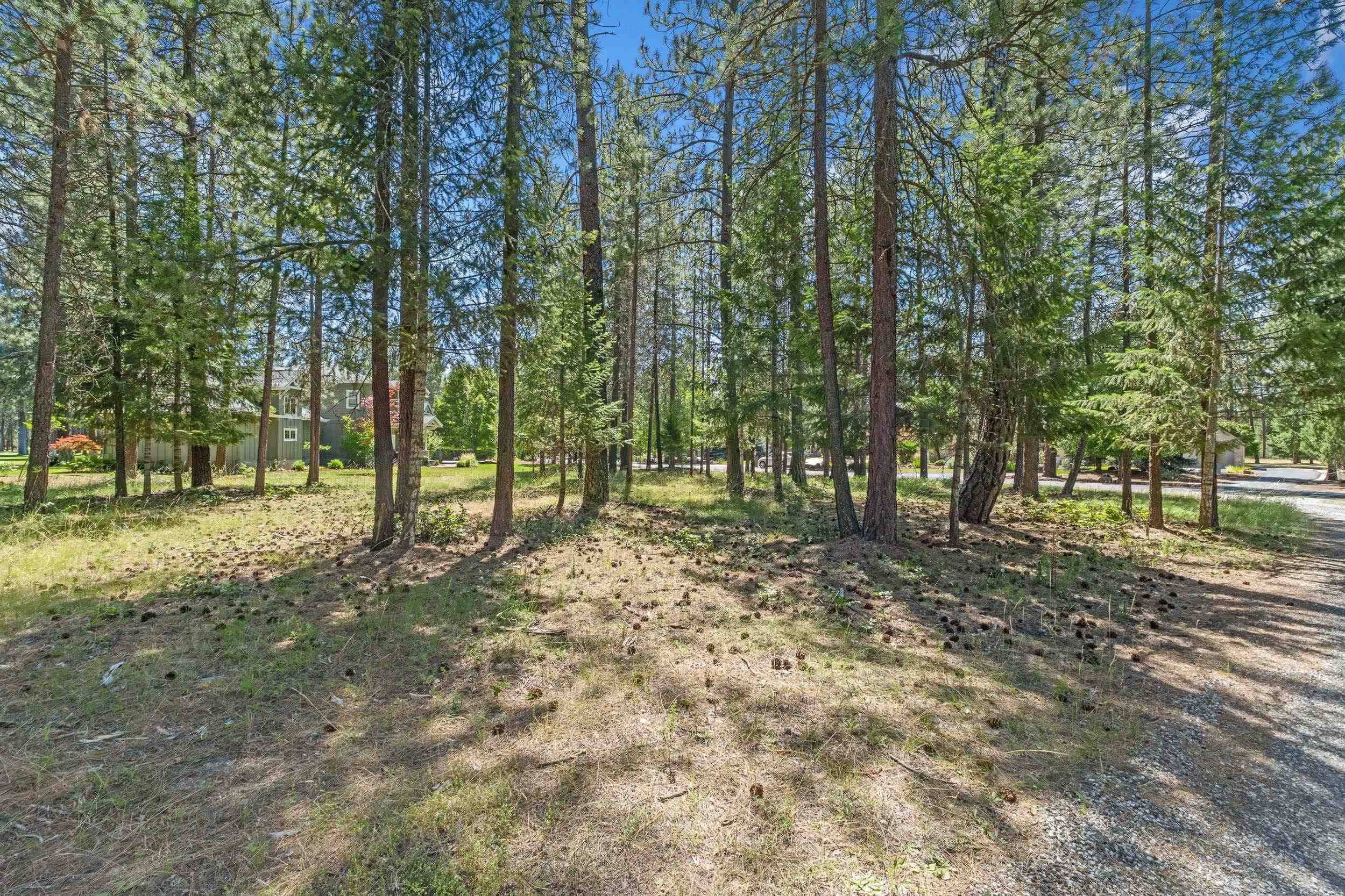 407 Hogans WAY, Chewelah, WA 99109