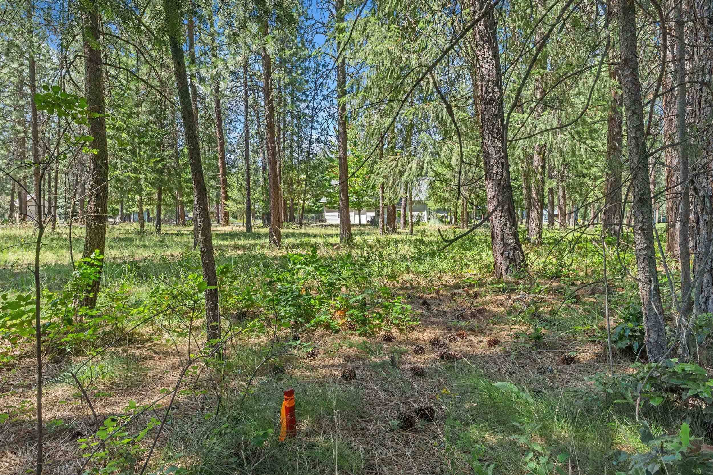 407 Hogans WAY, Chewelah, WA 99109