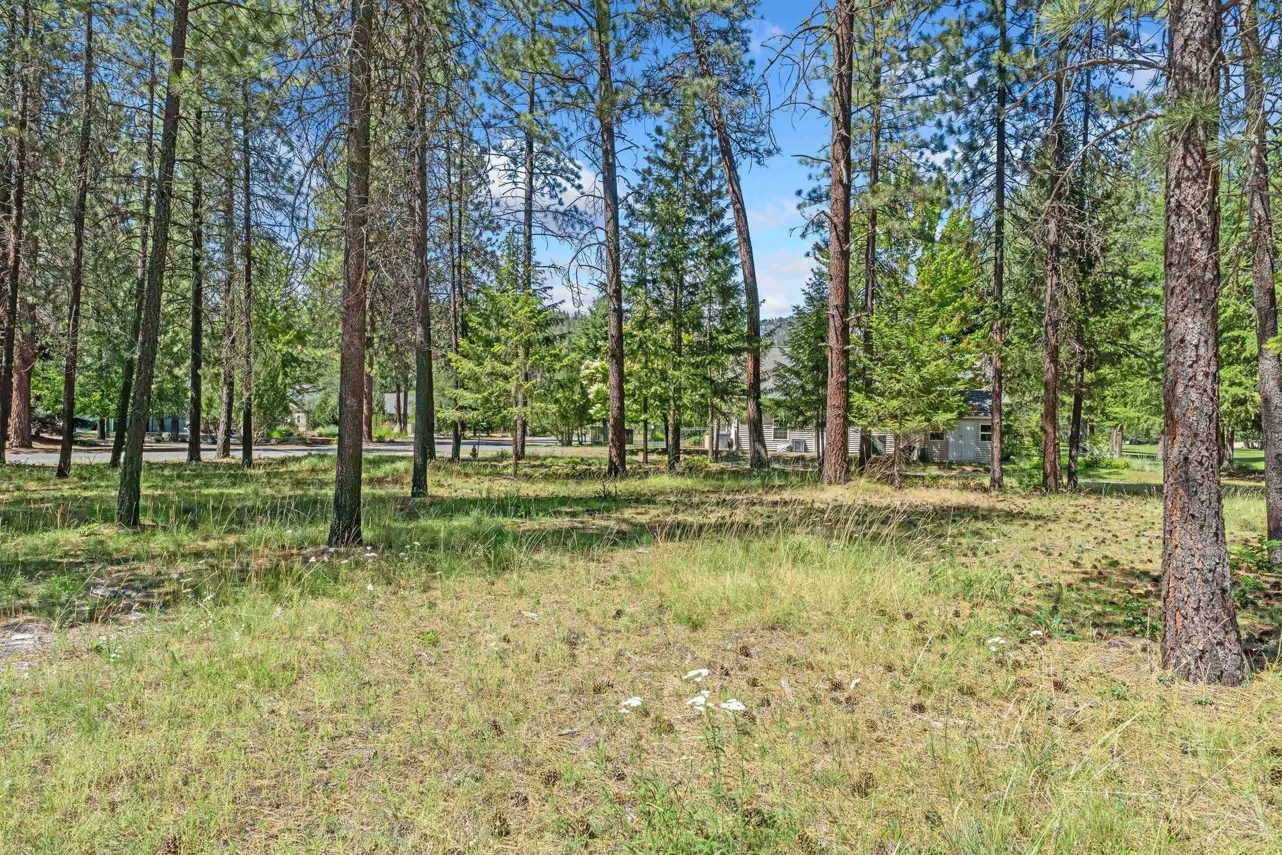 407 Hogans WAY, Chewelah, WA 99109