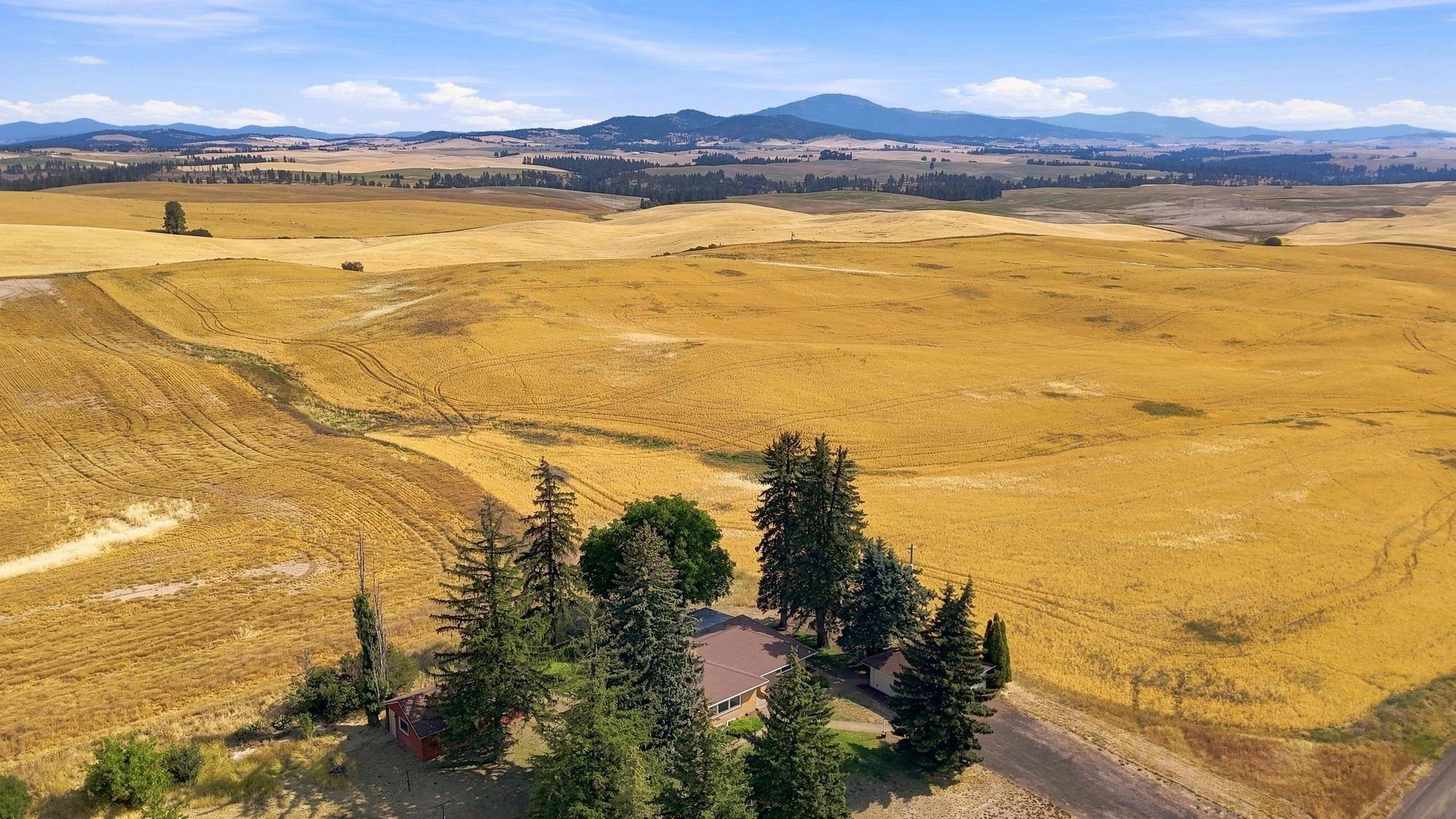 11213 E CAMERON Rd, Fairfield, WA 99012
