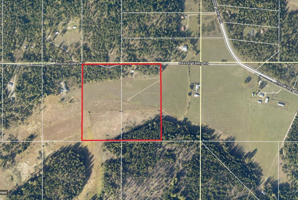 307 Beaver Valley Rd, Newport, WA 99156