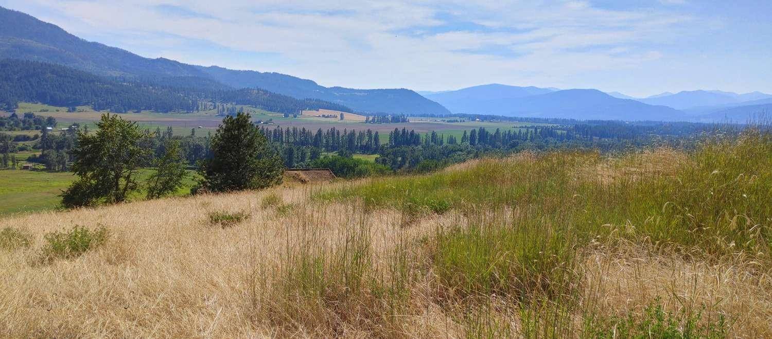 700 Pingston Creek Rd, Kettle Falls, WA 99141