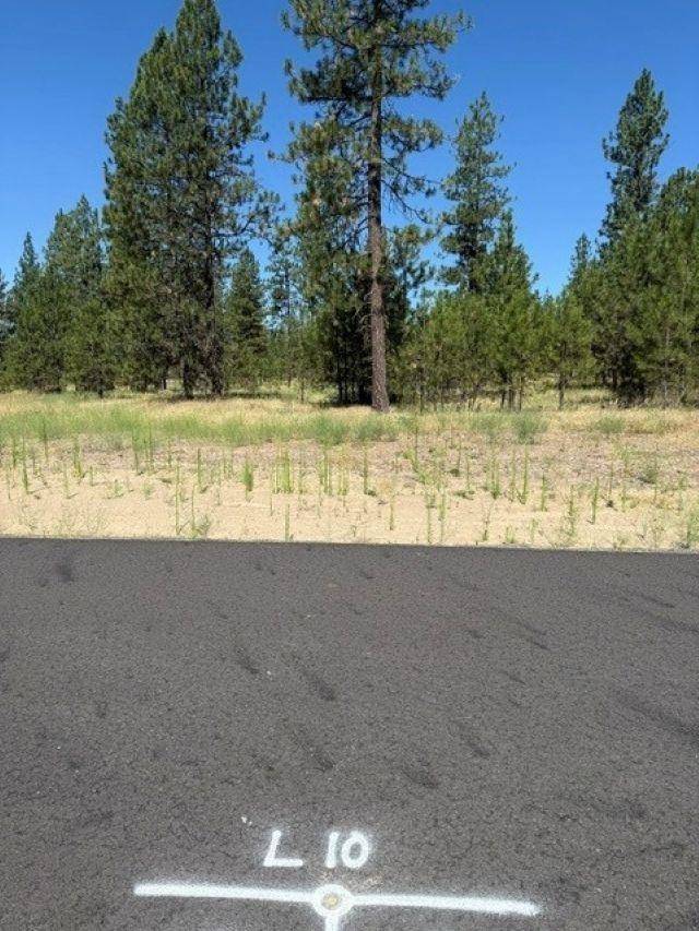 Lot 10 Long Lake Estates WAY, Nine Mile Falls, WA 99026