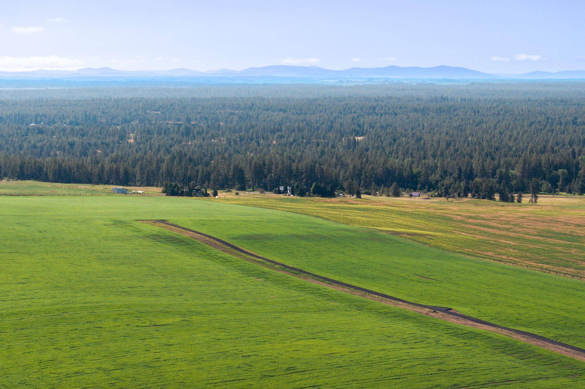 15275 S Andrus Rd #Lot #1, Cheney, WA 99004