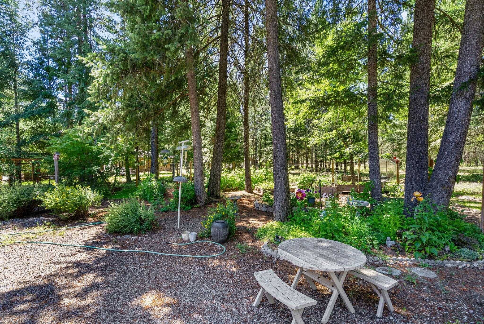 3853 White Pine Rd, Loon Lake, WA 99148