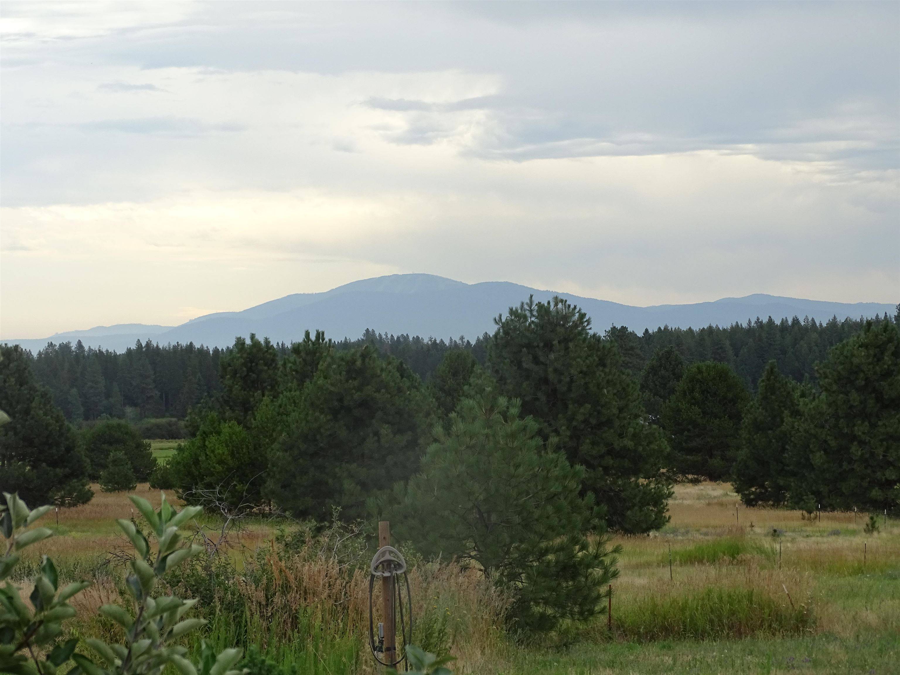 32002 N Spotted Rd, Deer Park, WA 99006
