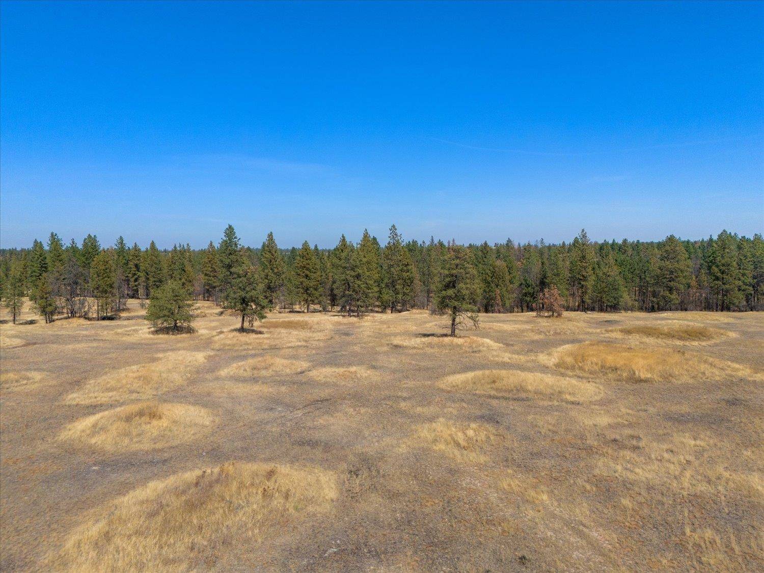 36377 S Bootstrap Ln, Cheney, WA 99004