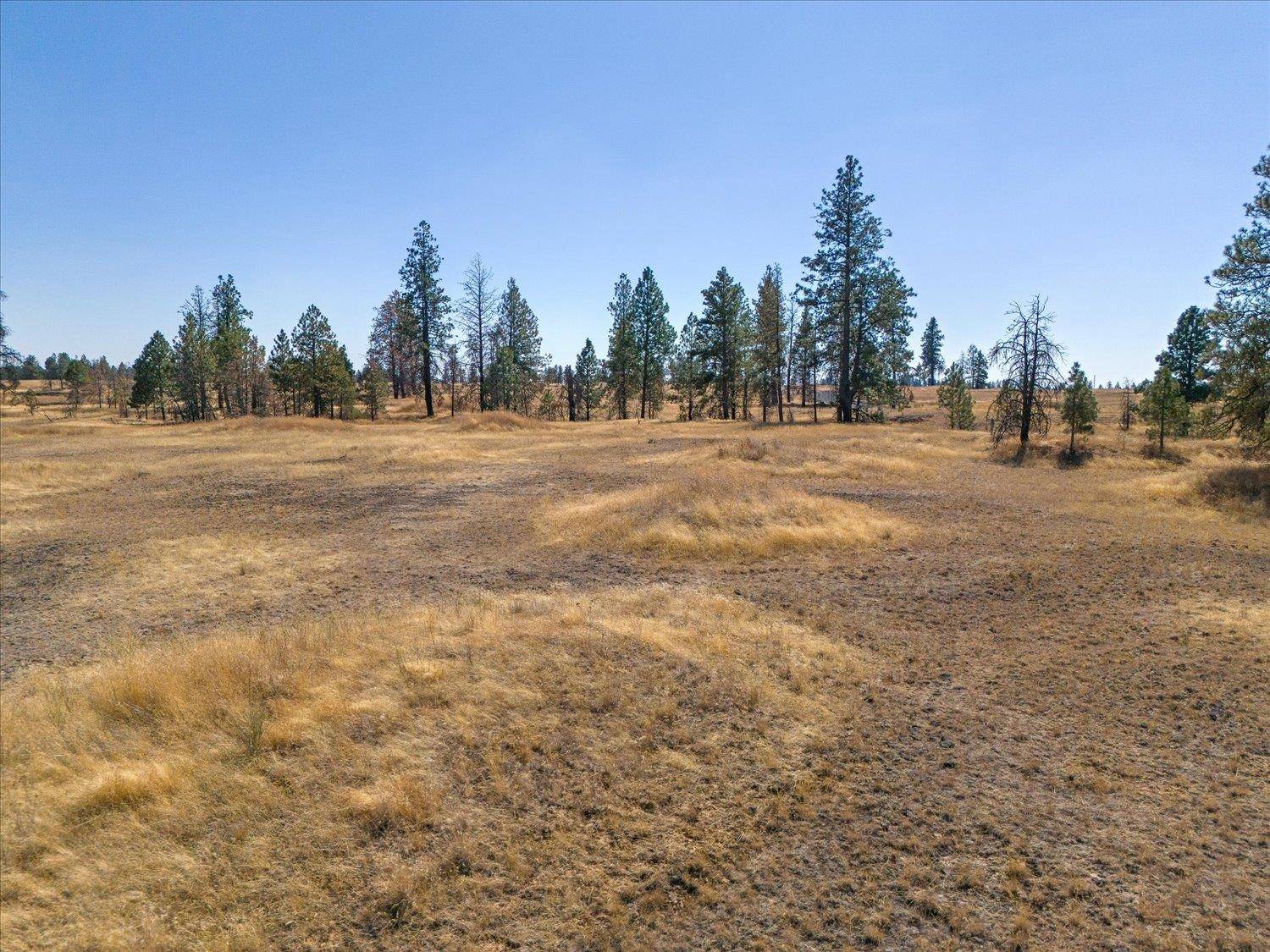 36377 S Bootstrap Ln, Cheney, WA 99004