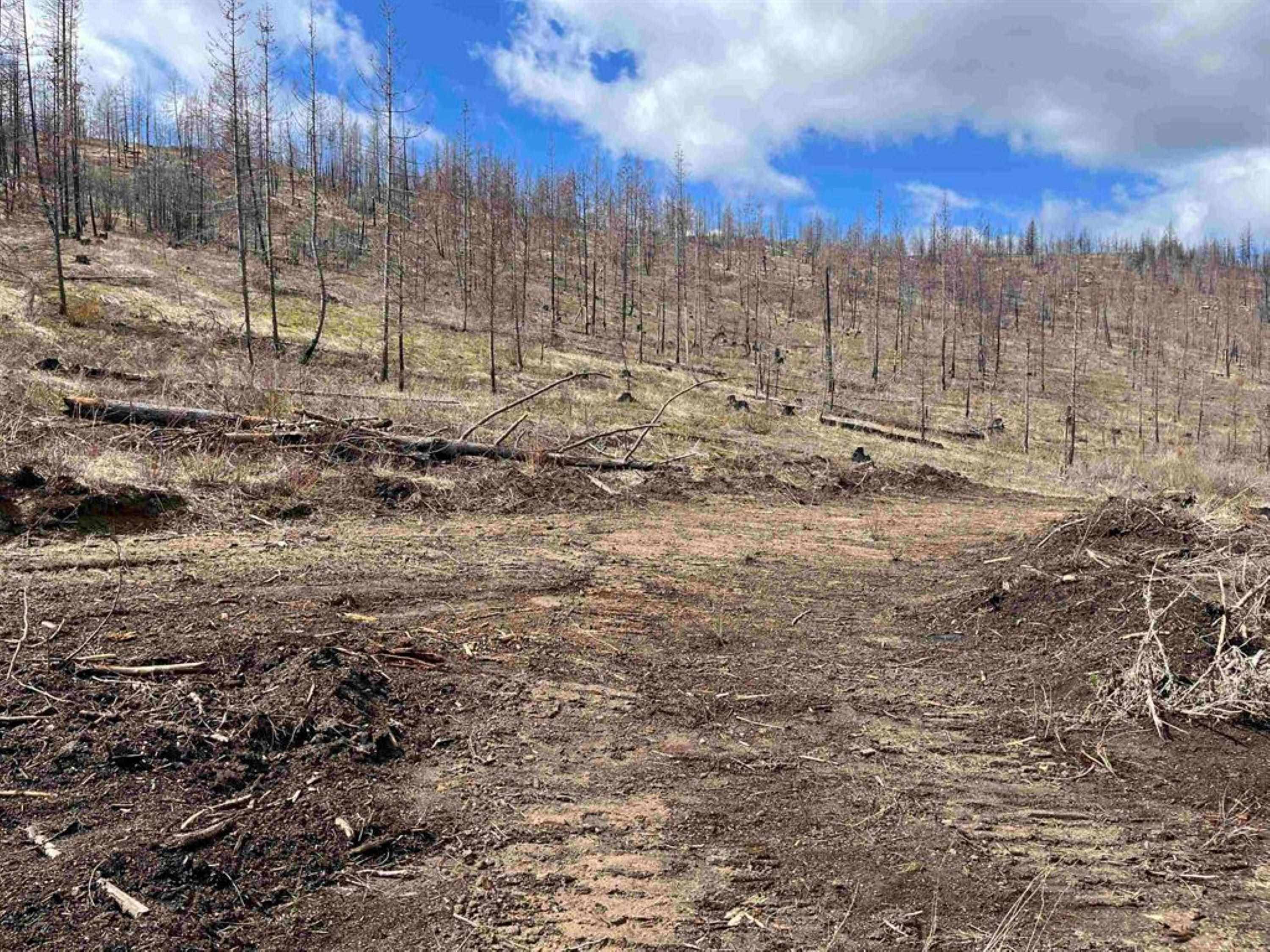 Lot 8 Rail Canyon Rd, Springdale, WA 99173