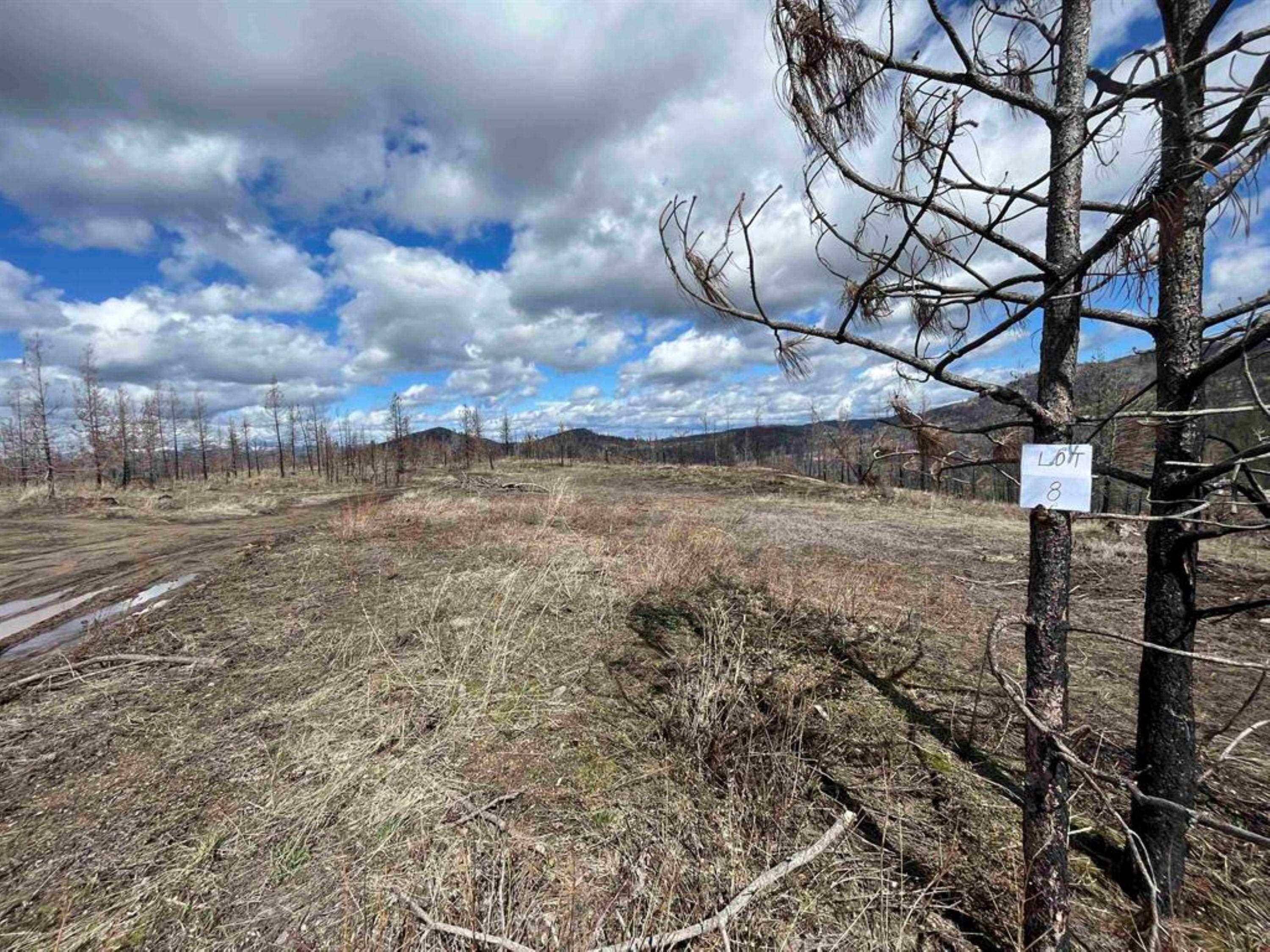 Lot 8 Rail Canyon Rd, Springdale, WA 99173