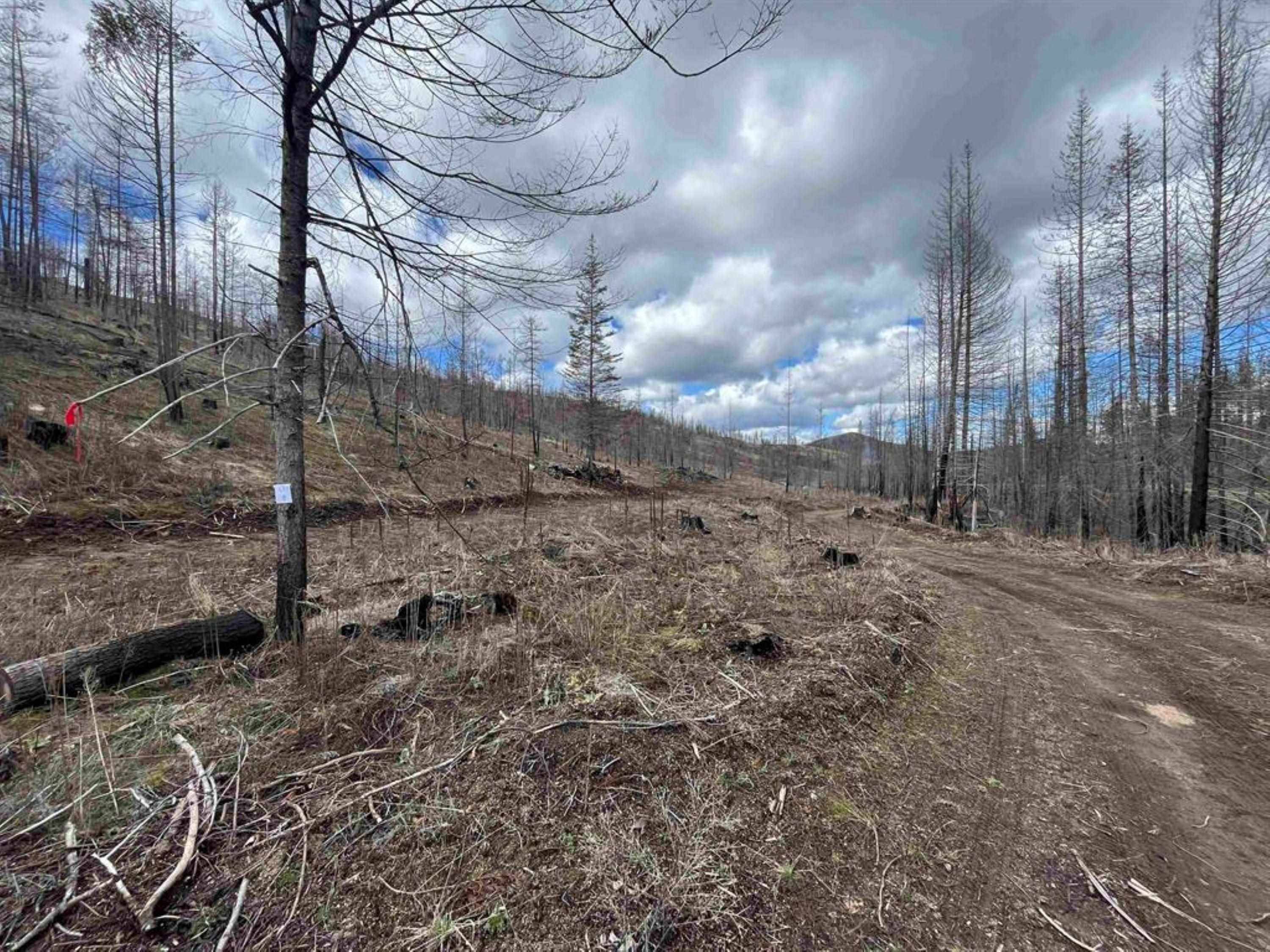Lot 8 Rail Canyon Rd, Springdale, WA 99173