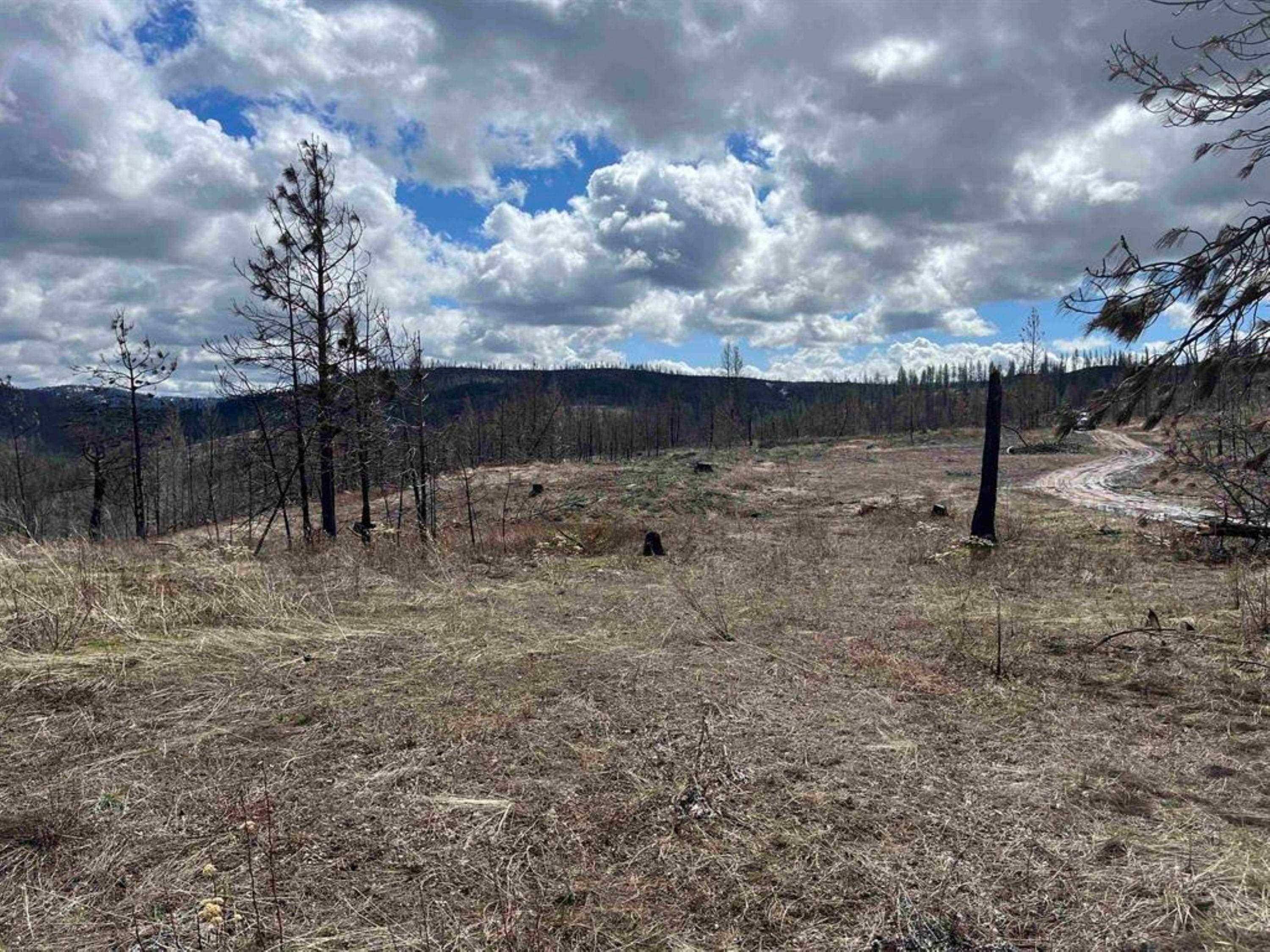 Lot 8 Rail Canyon Rd, Springdale, WA 99173