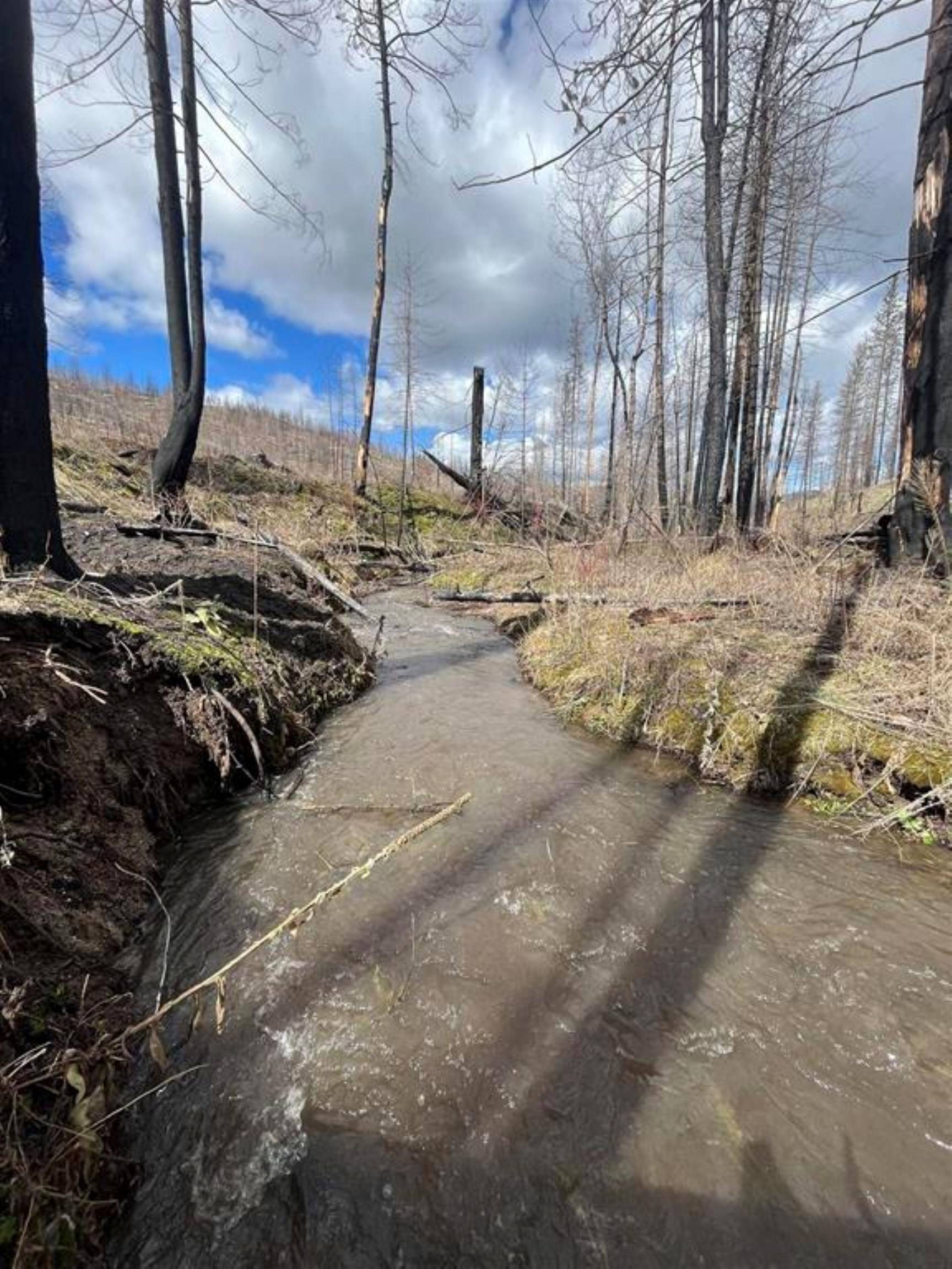 Lot 8 Rail Canyon Rd, Springdale, WA 99173