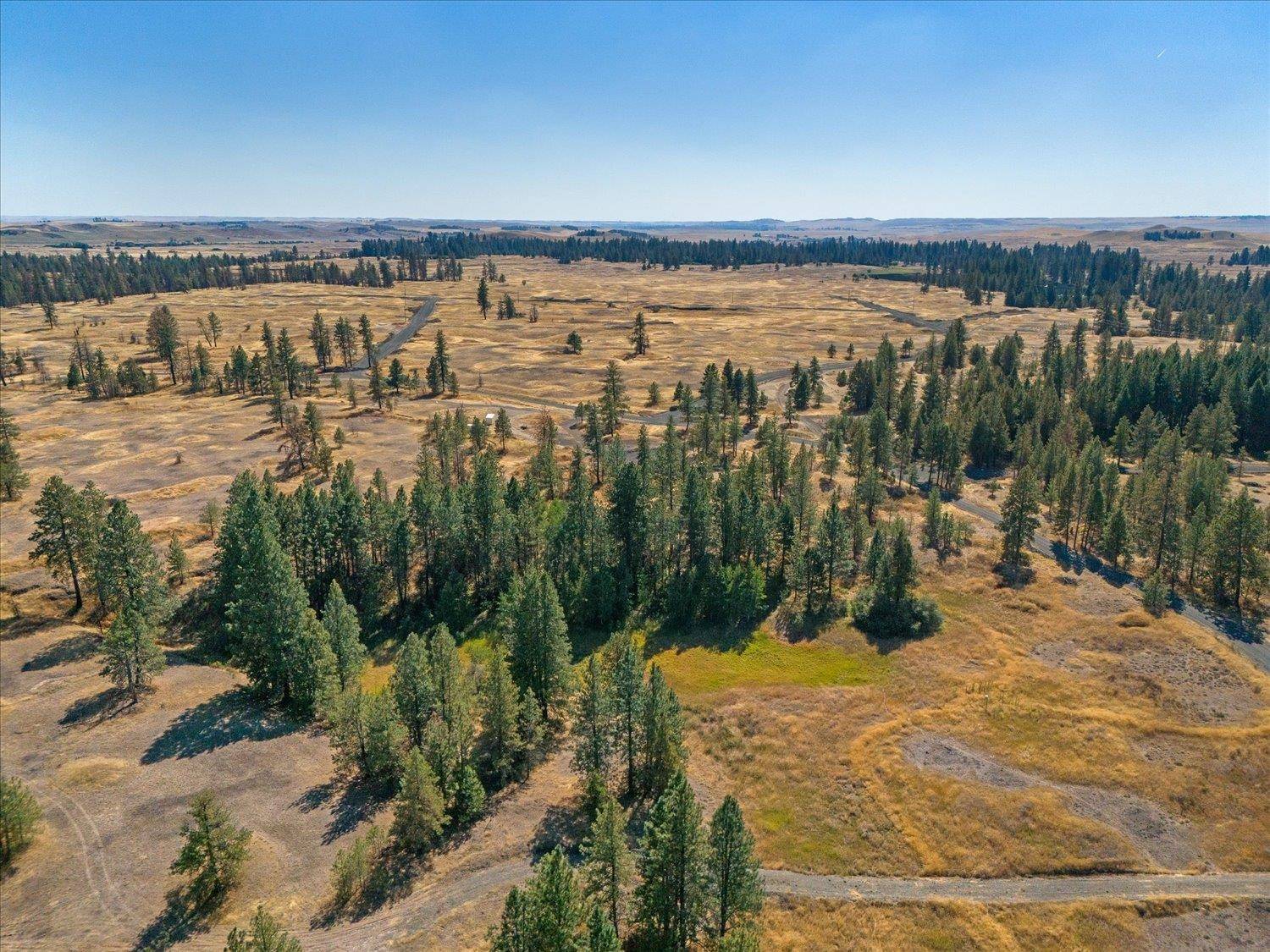 36321 S Bootstrap Ln, Cheney, WA 99004