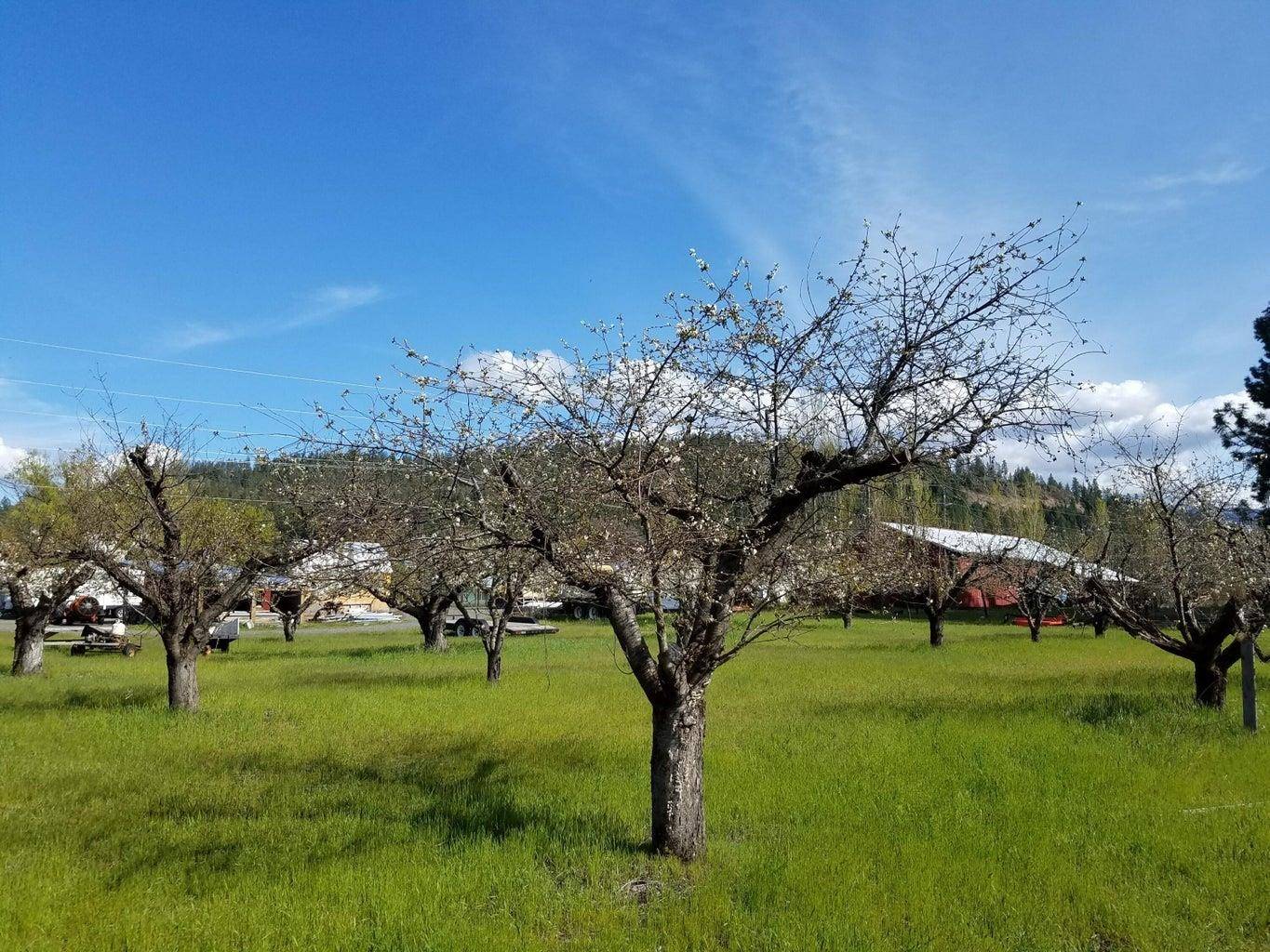 1244 Peachcrest Rd, Kettle Falls, WA 99141