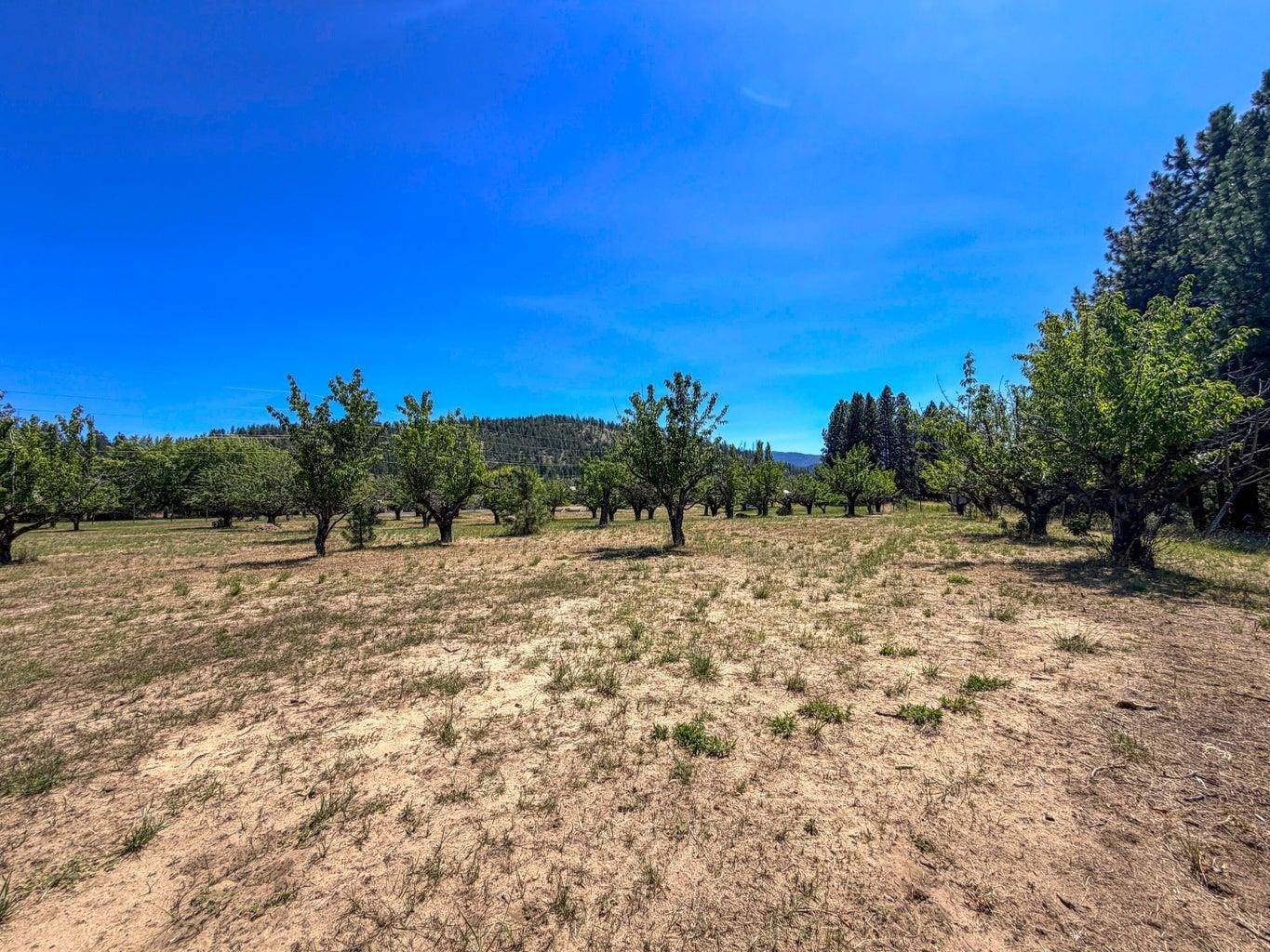 1244 Peachcrest Rd, Kettle Falls, WA 99141