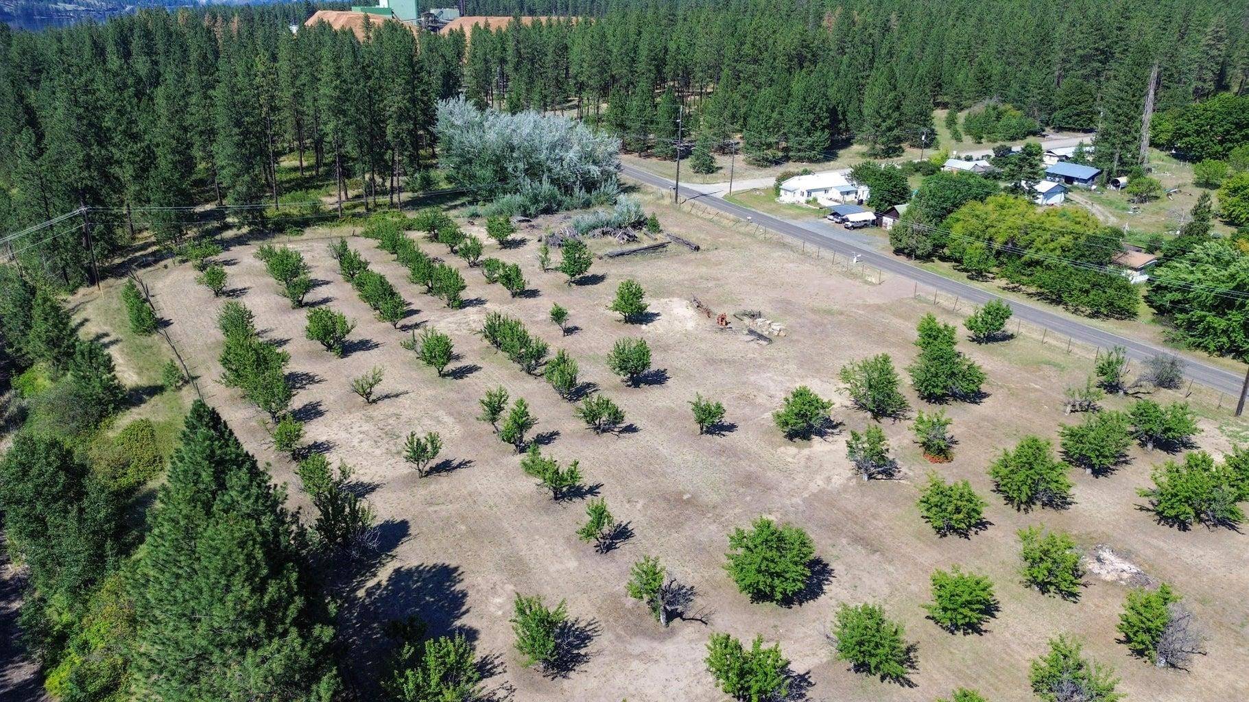 1244 Peachcrest Rd, Kettle Falls, WA 99141